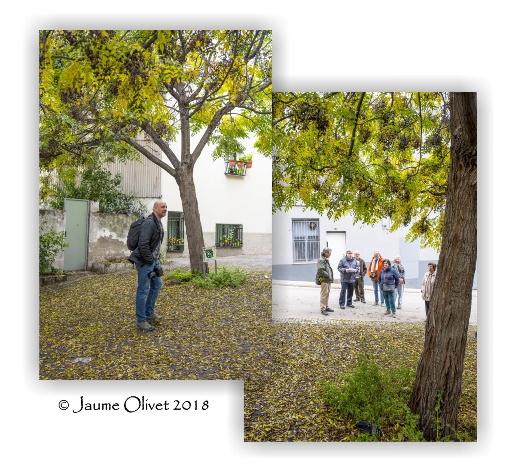  Jaume Olivet 2018