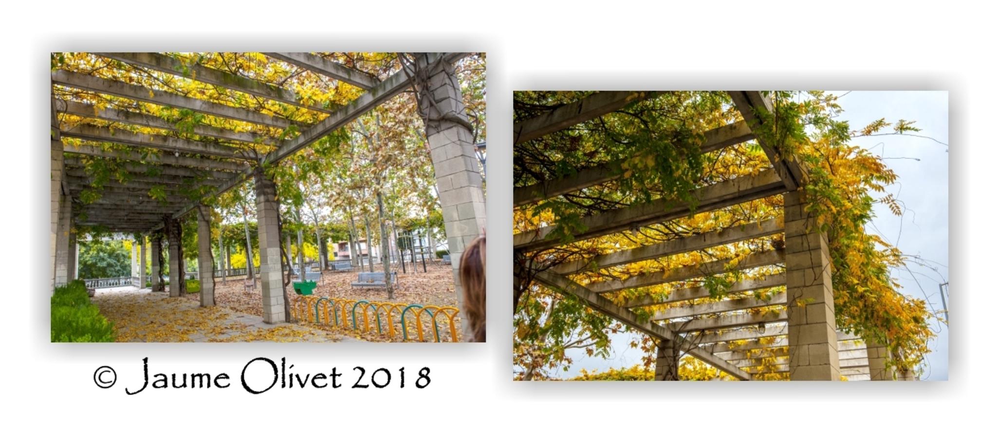  Jaume Olivet 2018