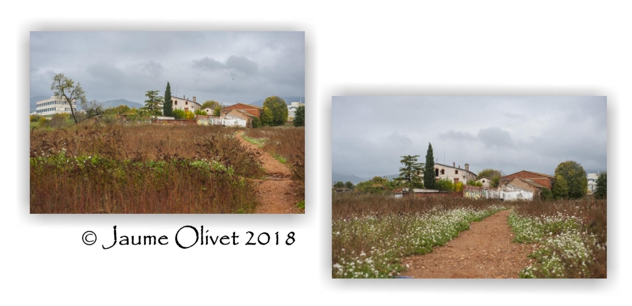  Jaume Olivet 2018