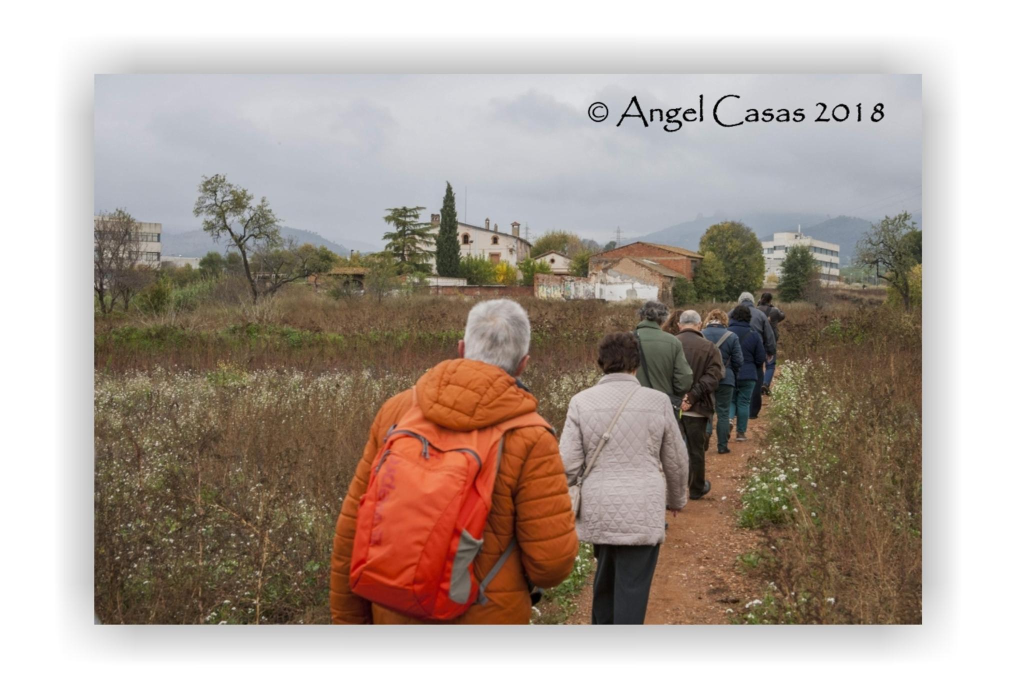 Jaume Olivet 2018