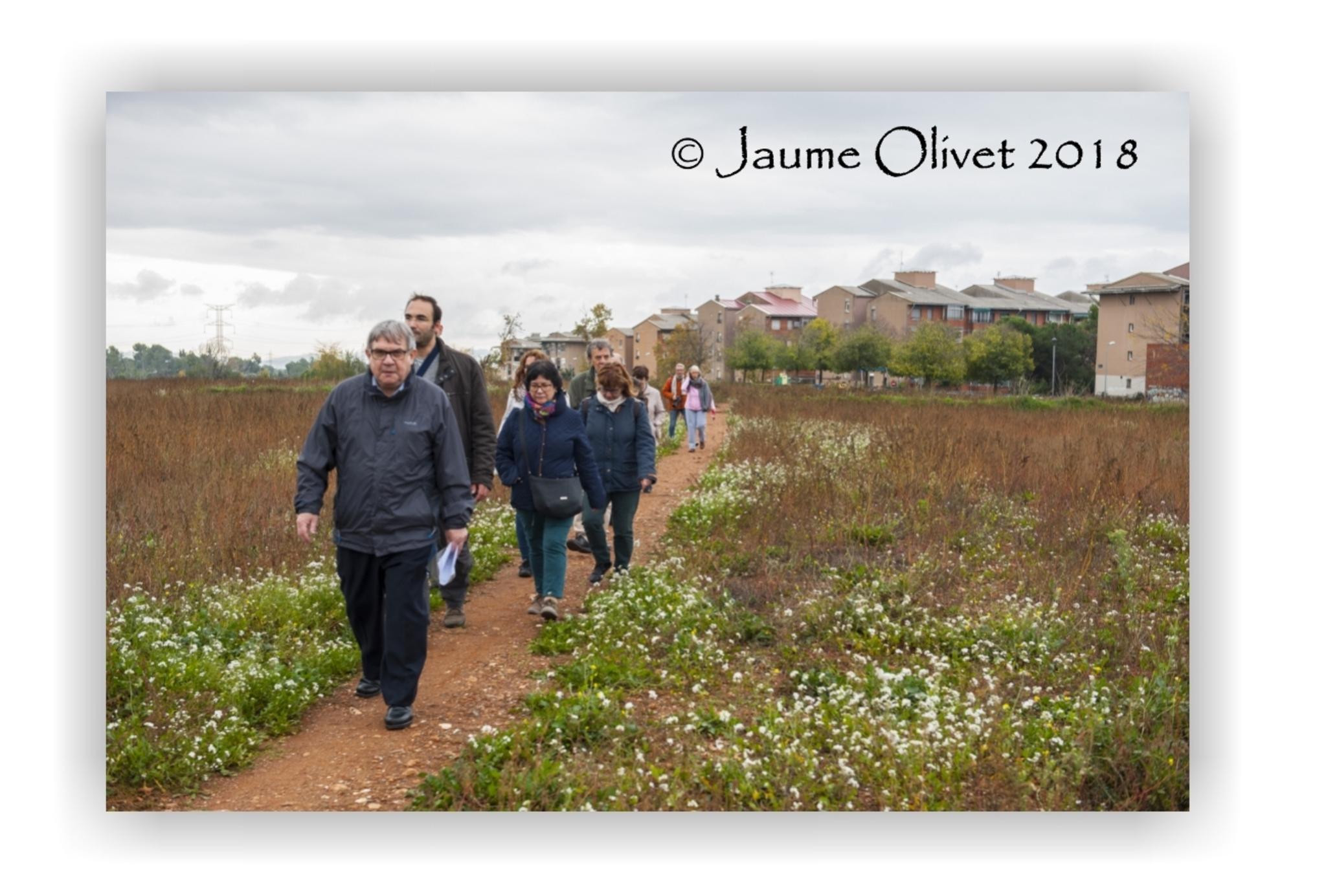  Jaume Olivet 2018