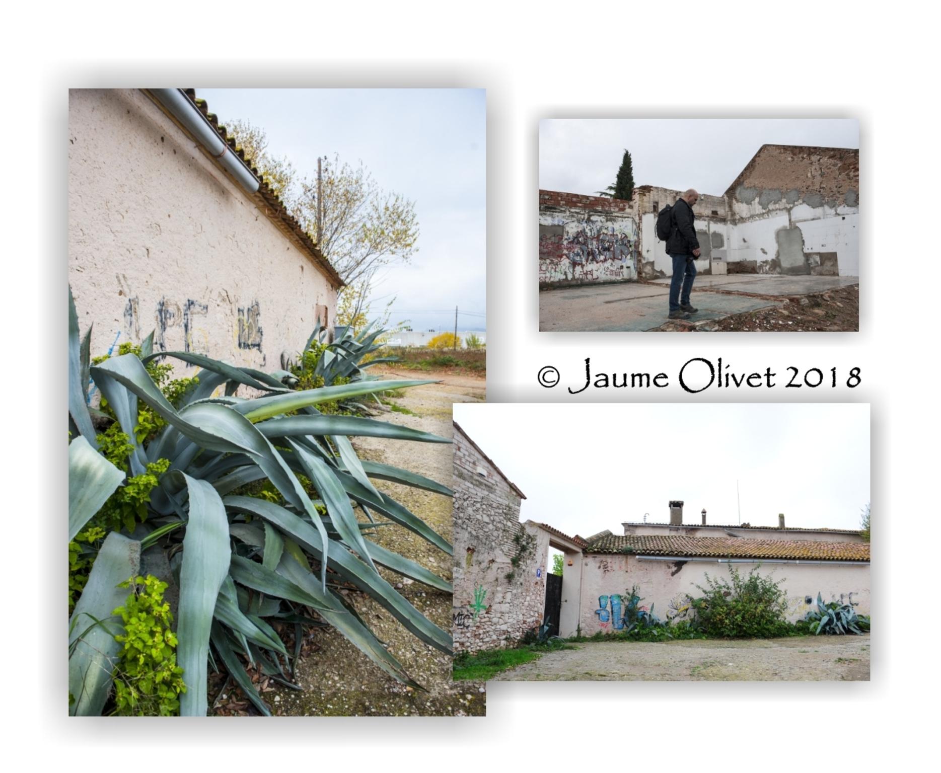  Jaume Olivet 2018