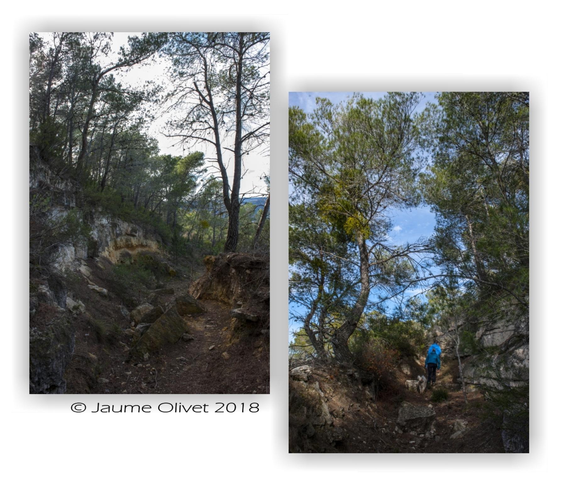  Jaume Olivet 2018
