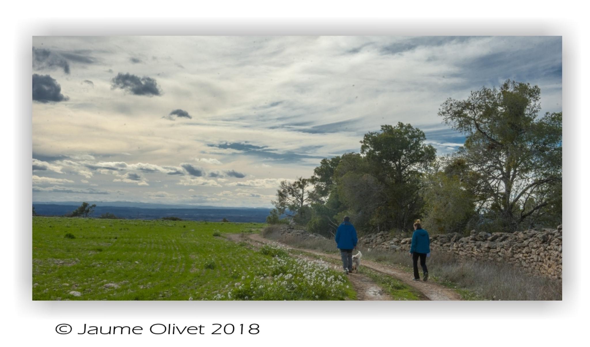  Jaume Olivet 2018