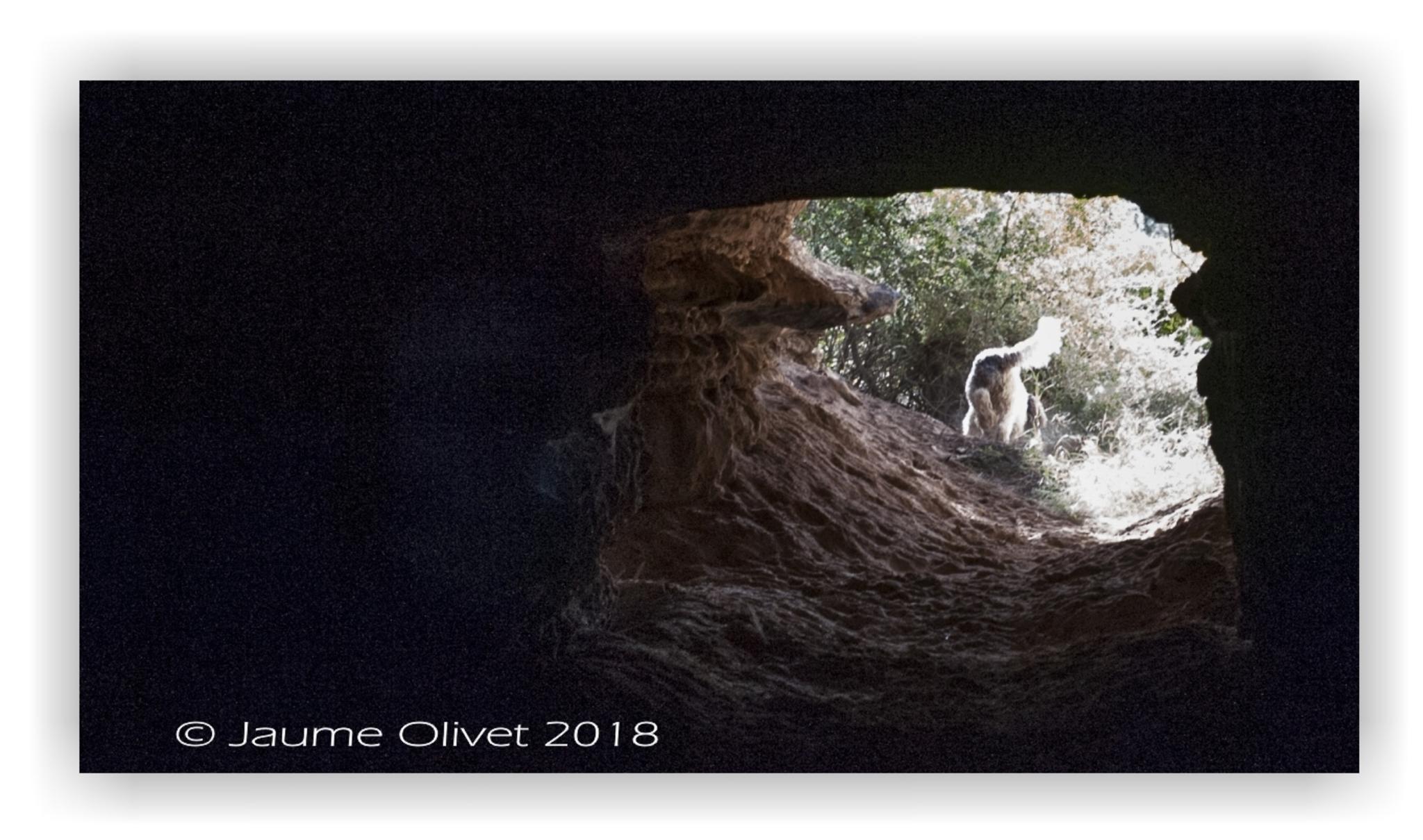  Jaume Olivet 2018