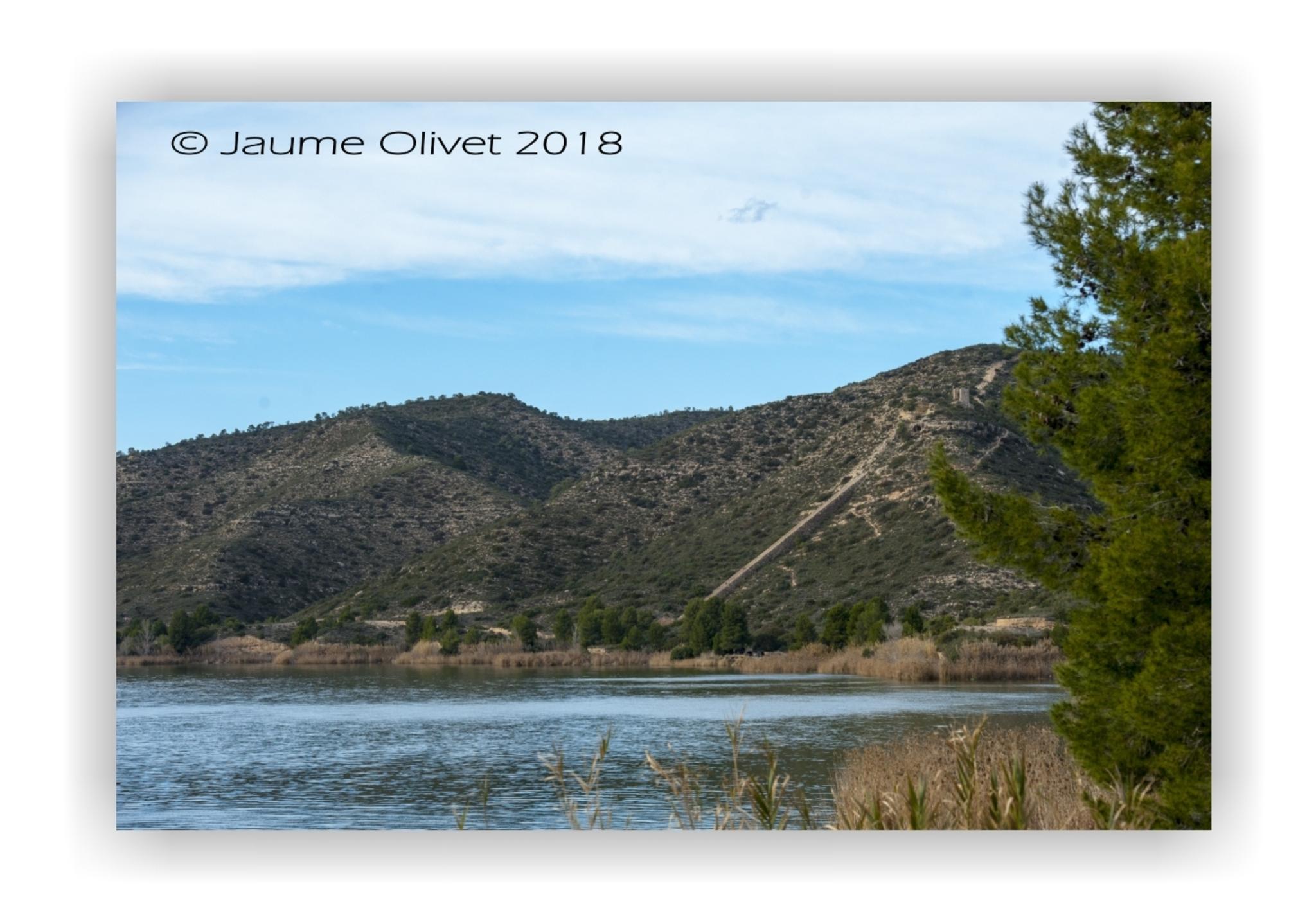  Jaume Olivet 2018