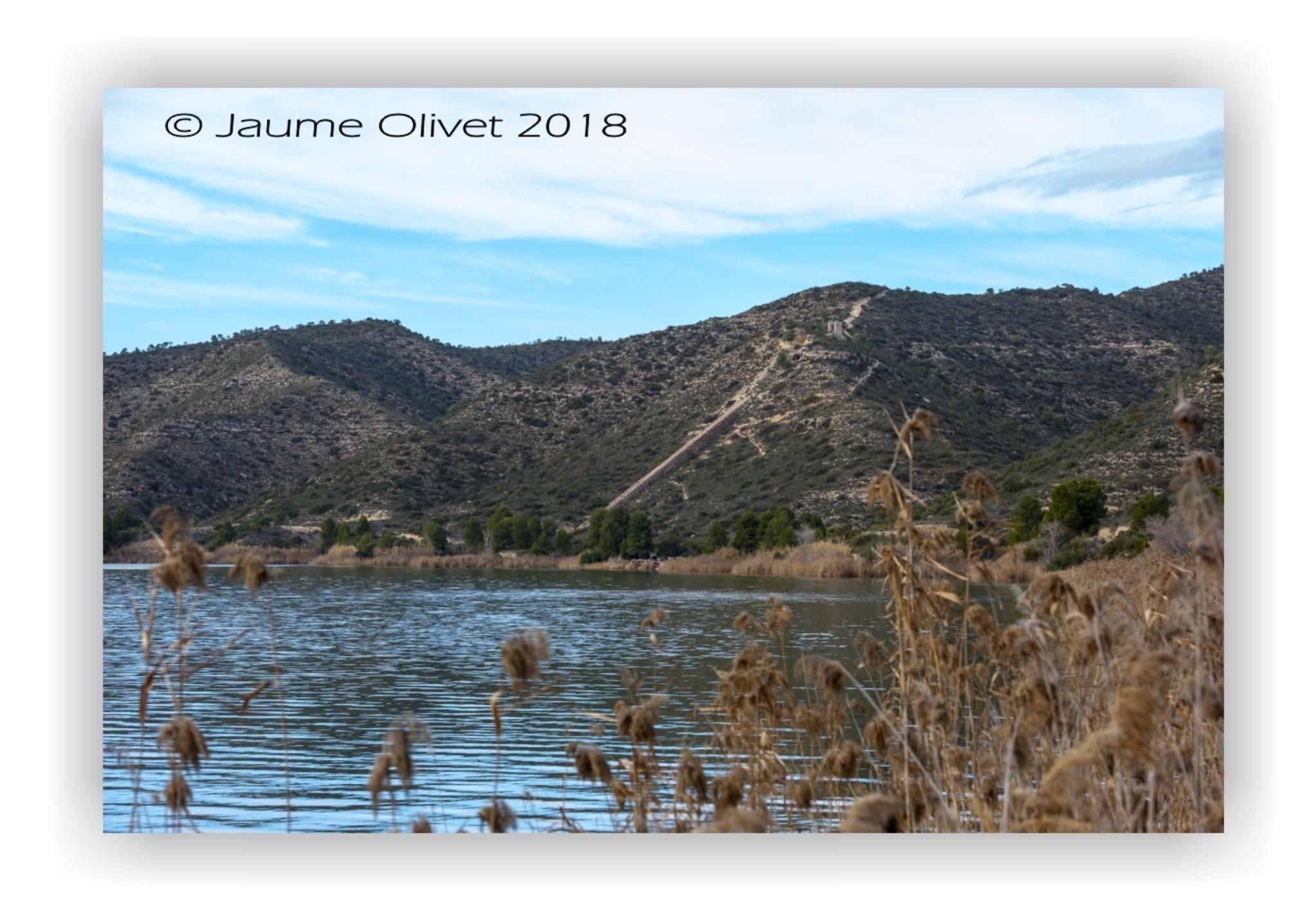  Jaume Olivet 2018
