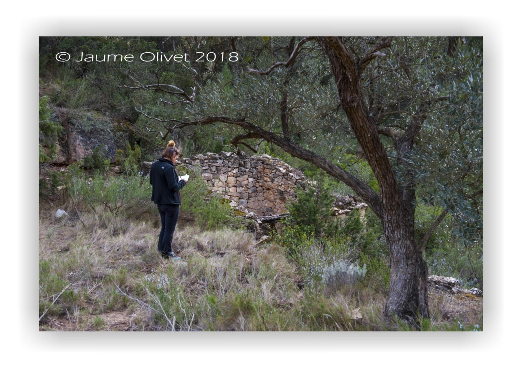  Jaume Olivet 2018
