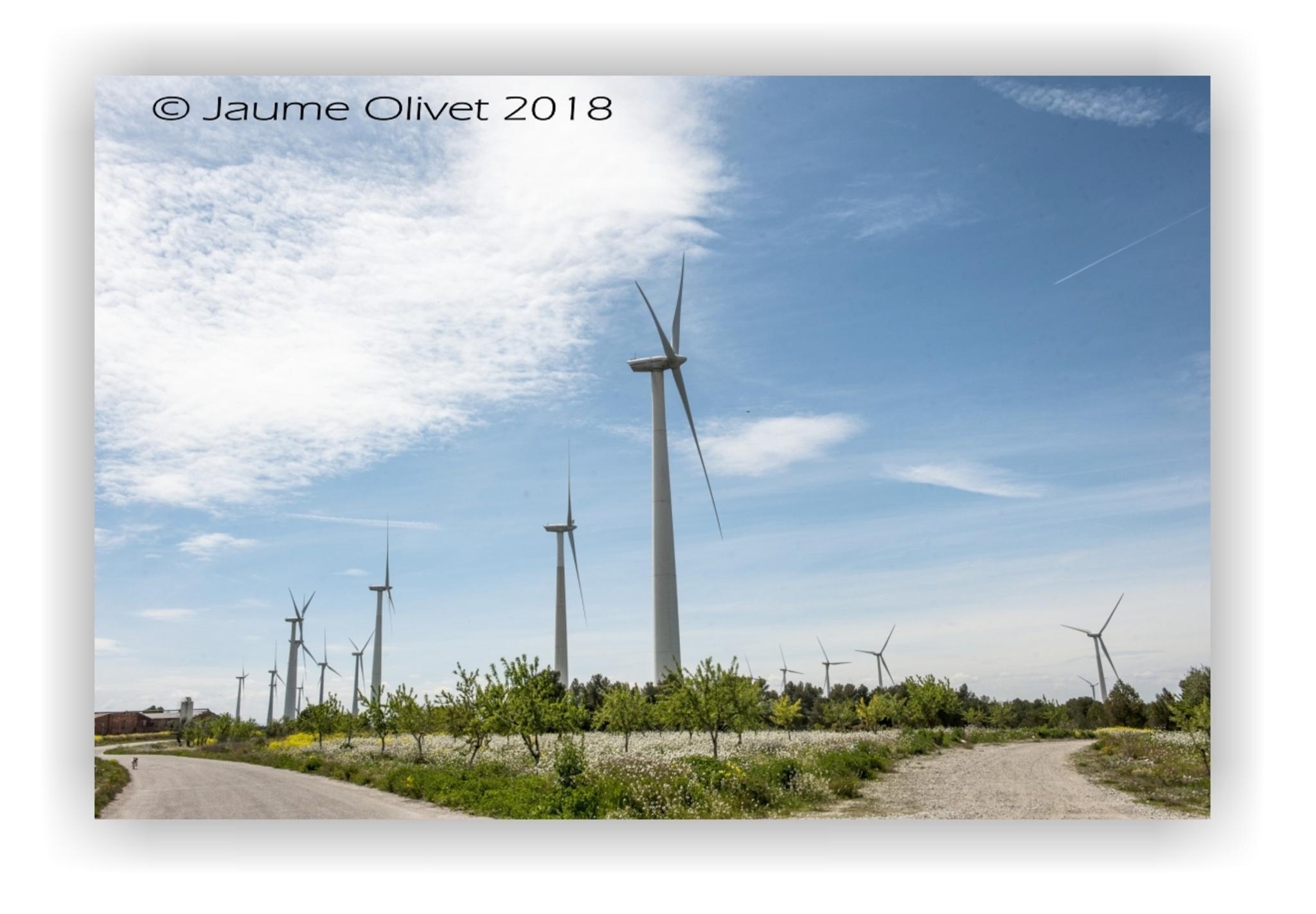  Jaume Olivet 2018