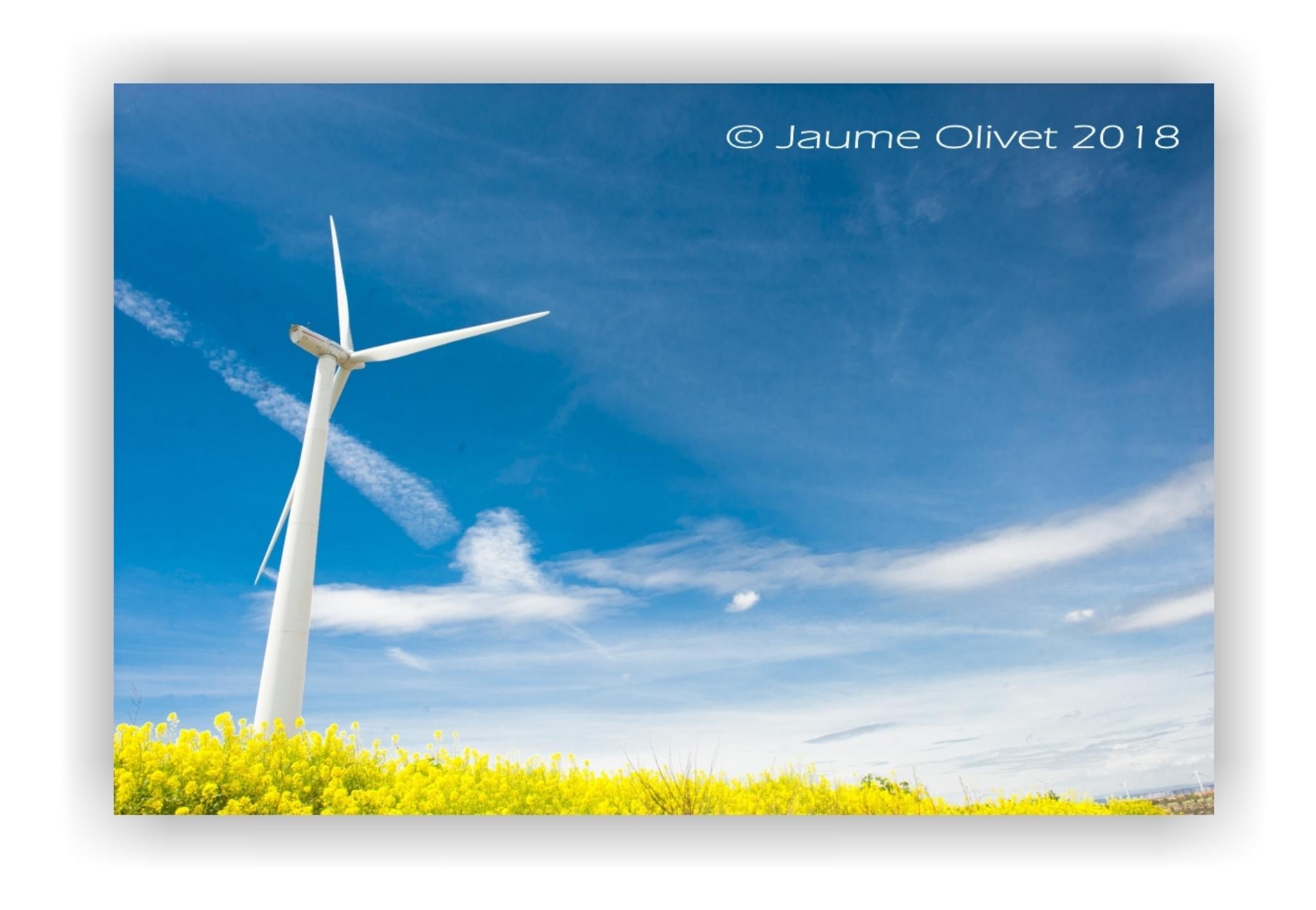  Jaume Olivet 2018