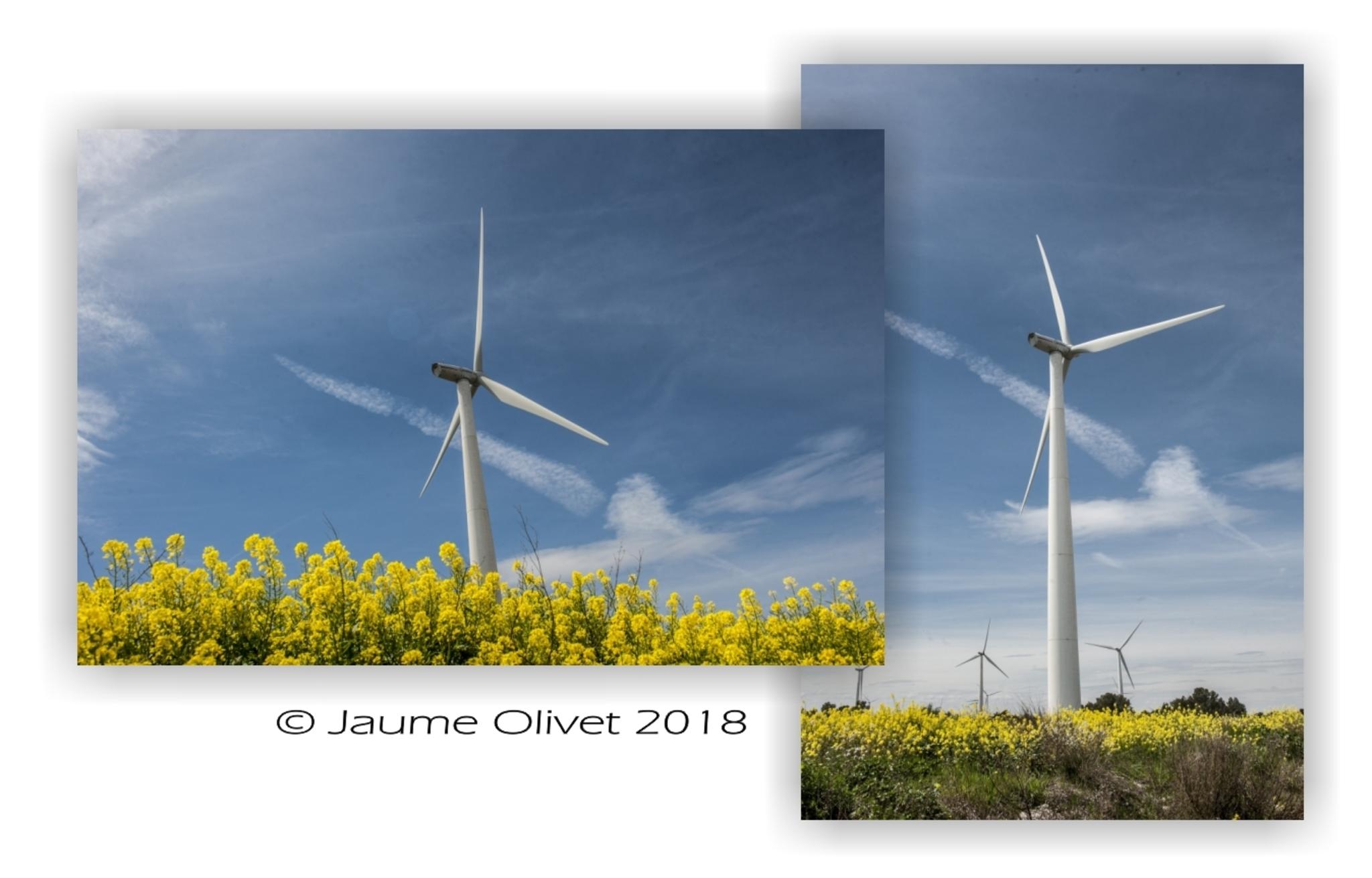  Jaume Olivet 2018