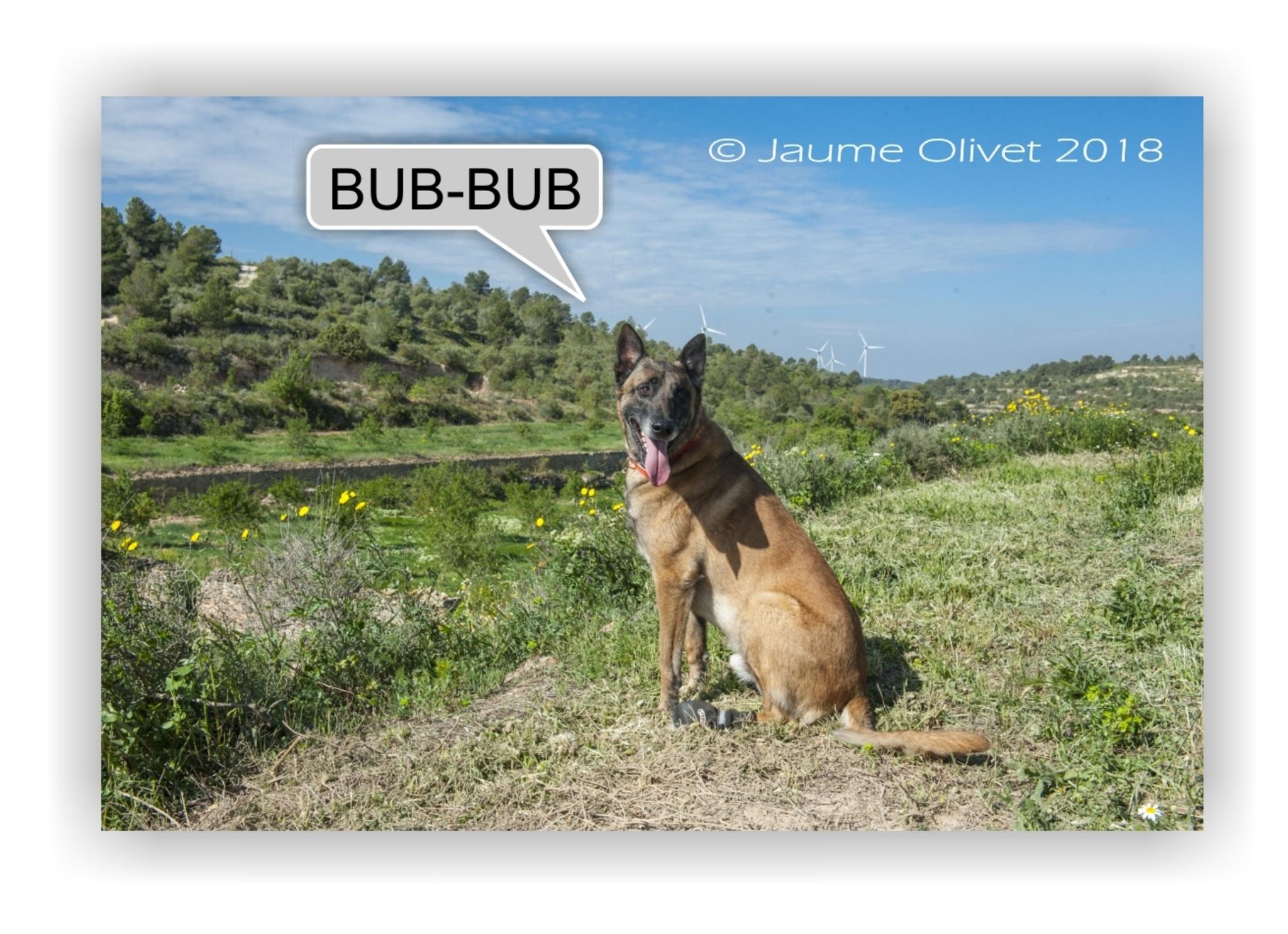  Jaume Olivet 2018