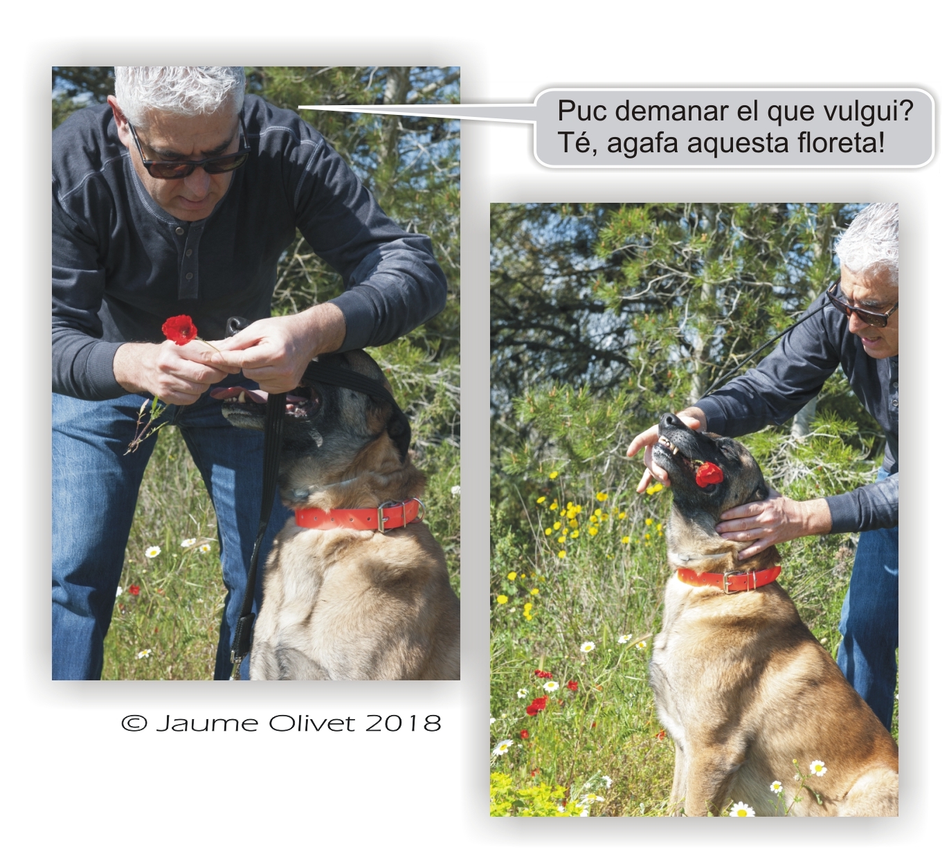  Jaume Olivet 2018