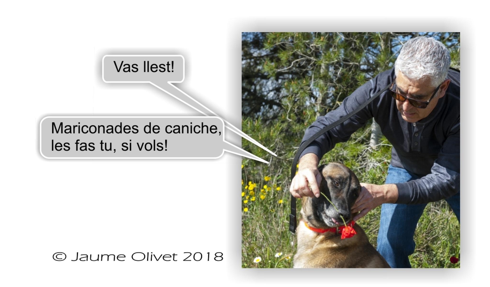  Jaume Olivet 2018