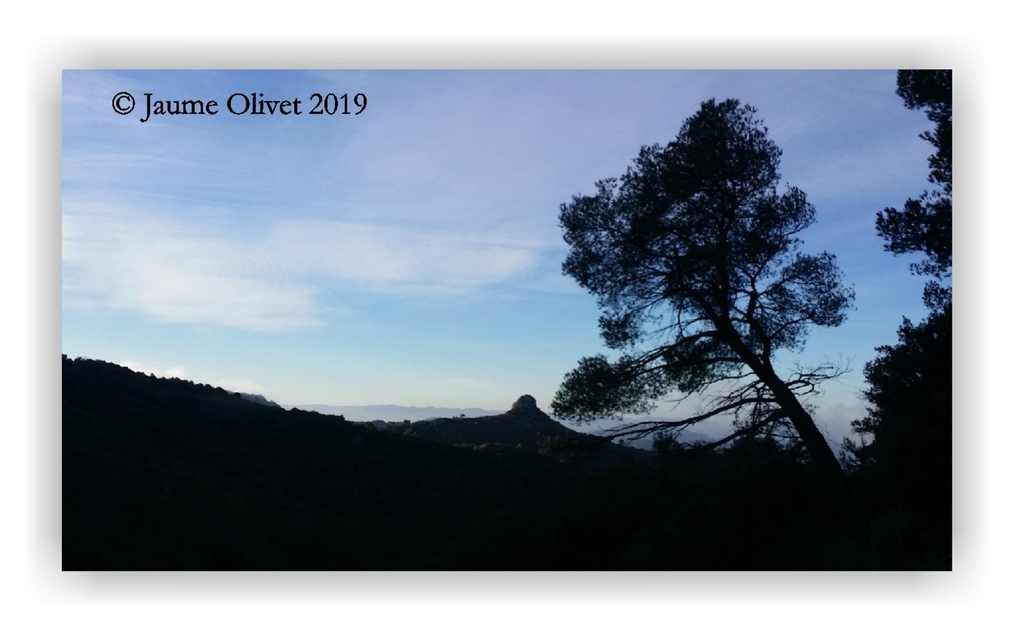  Jaume Olivet 2019