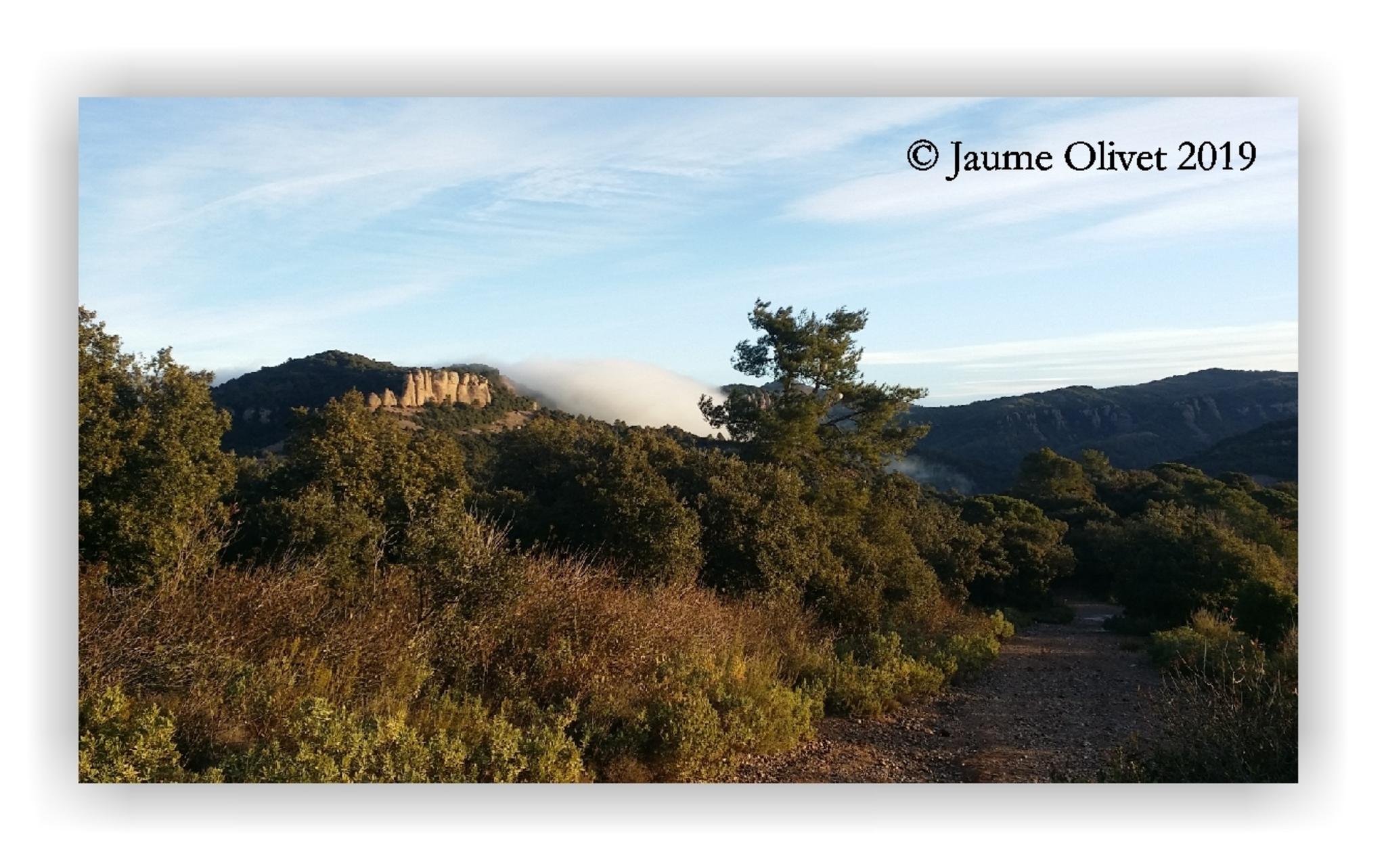  Jaume Olivet 2019