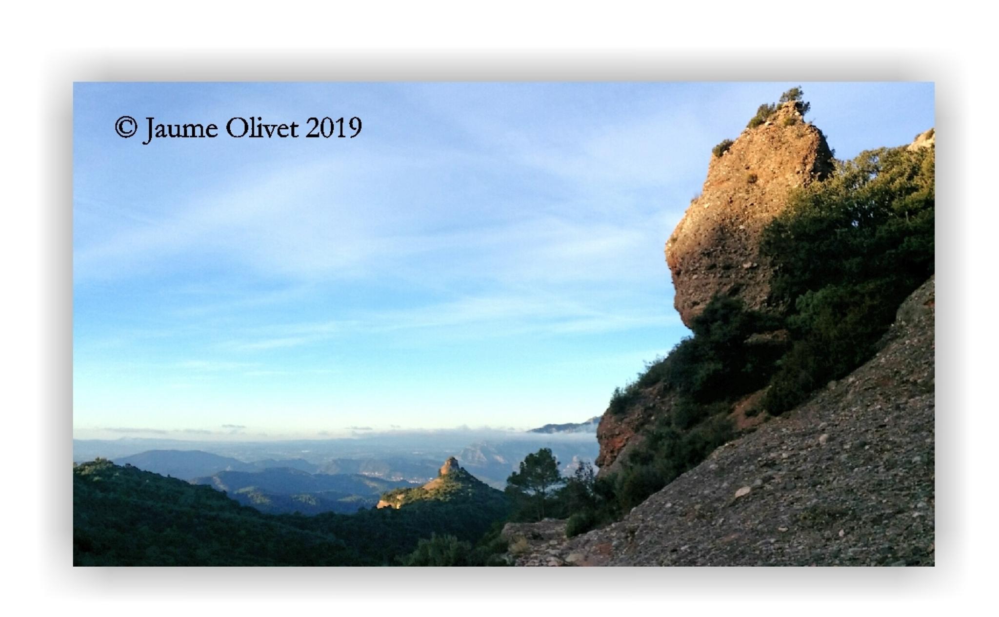  Jaume Olivet 2019