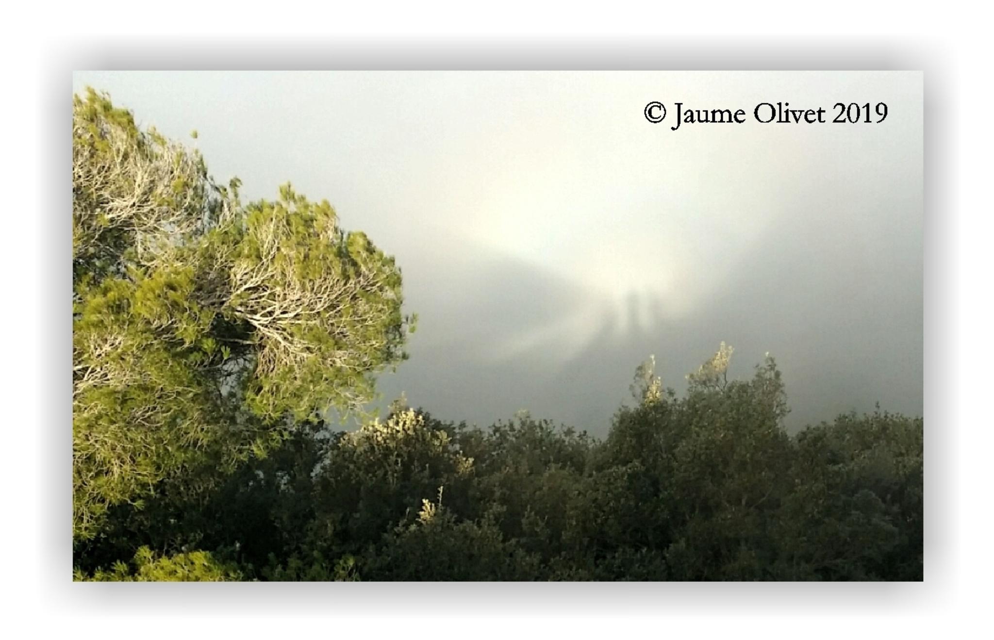  Jaume Olivet 2019