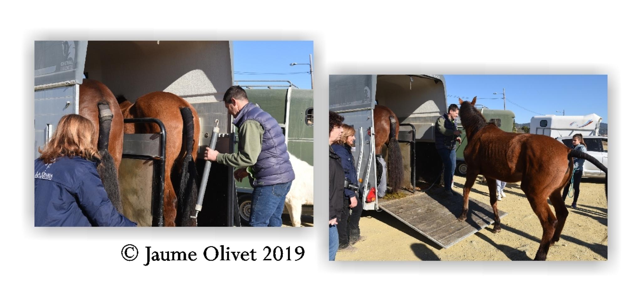  Jaume Olivet 2019