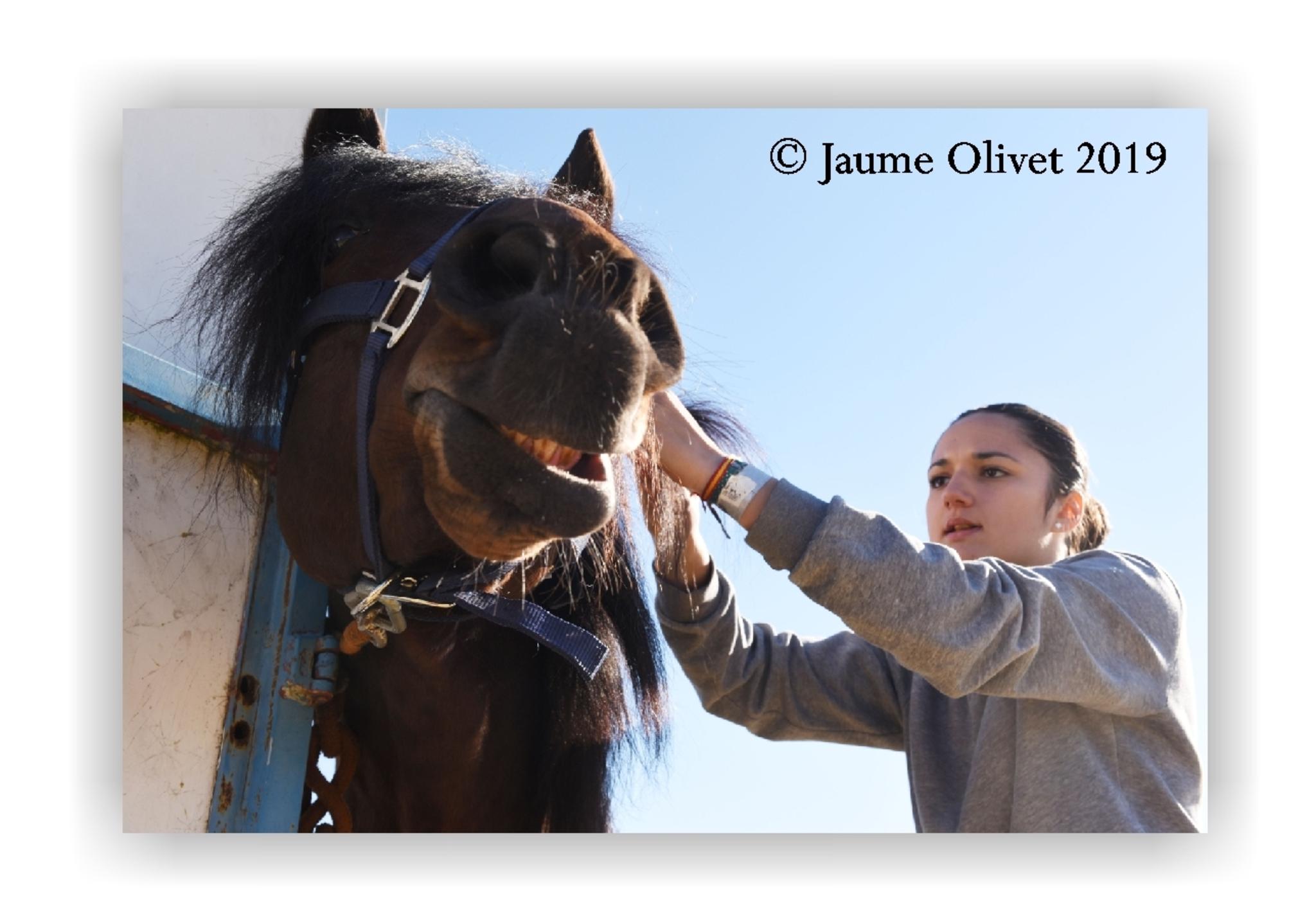  Jaume Olivet 2019