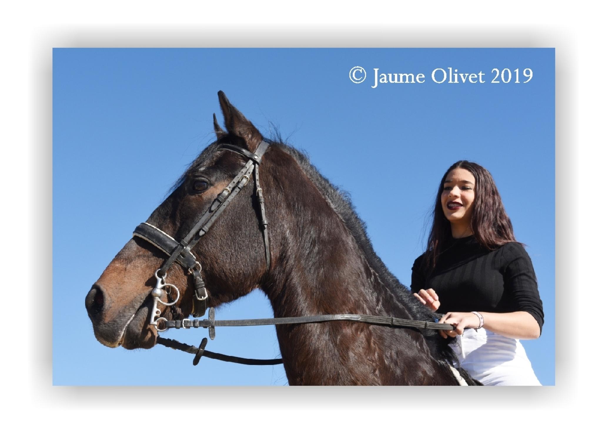  Jaume Olivet 2019