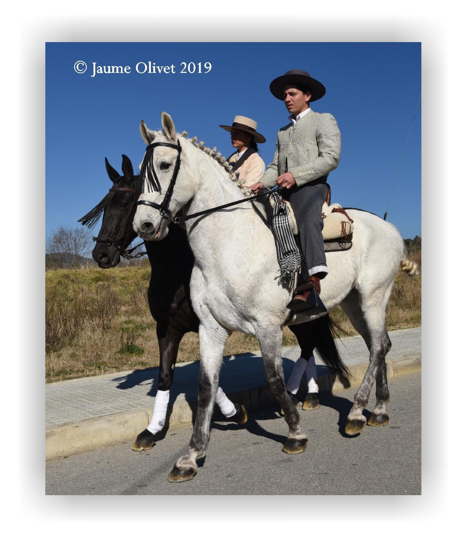  Jaume Olivet 2019