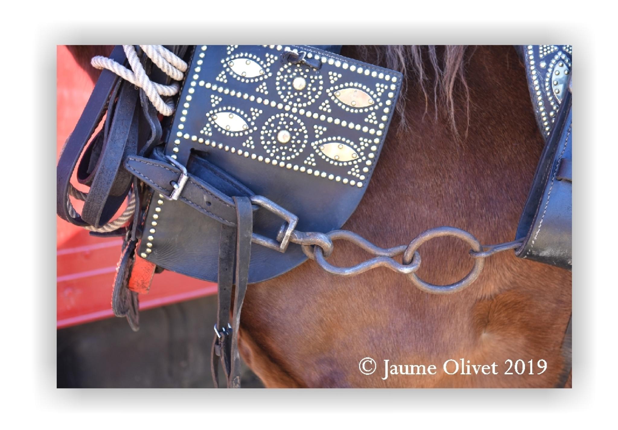  Jaume Olivet 2019