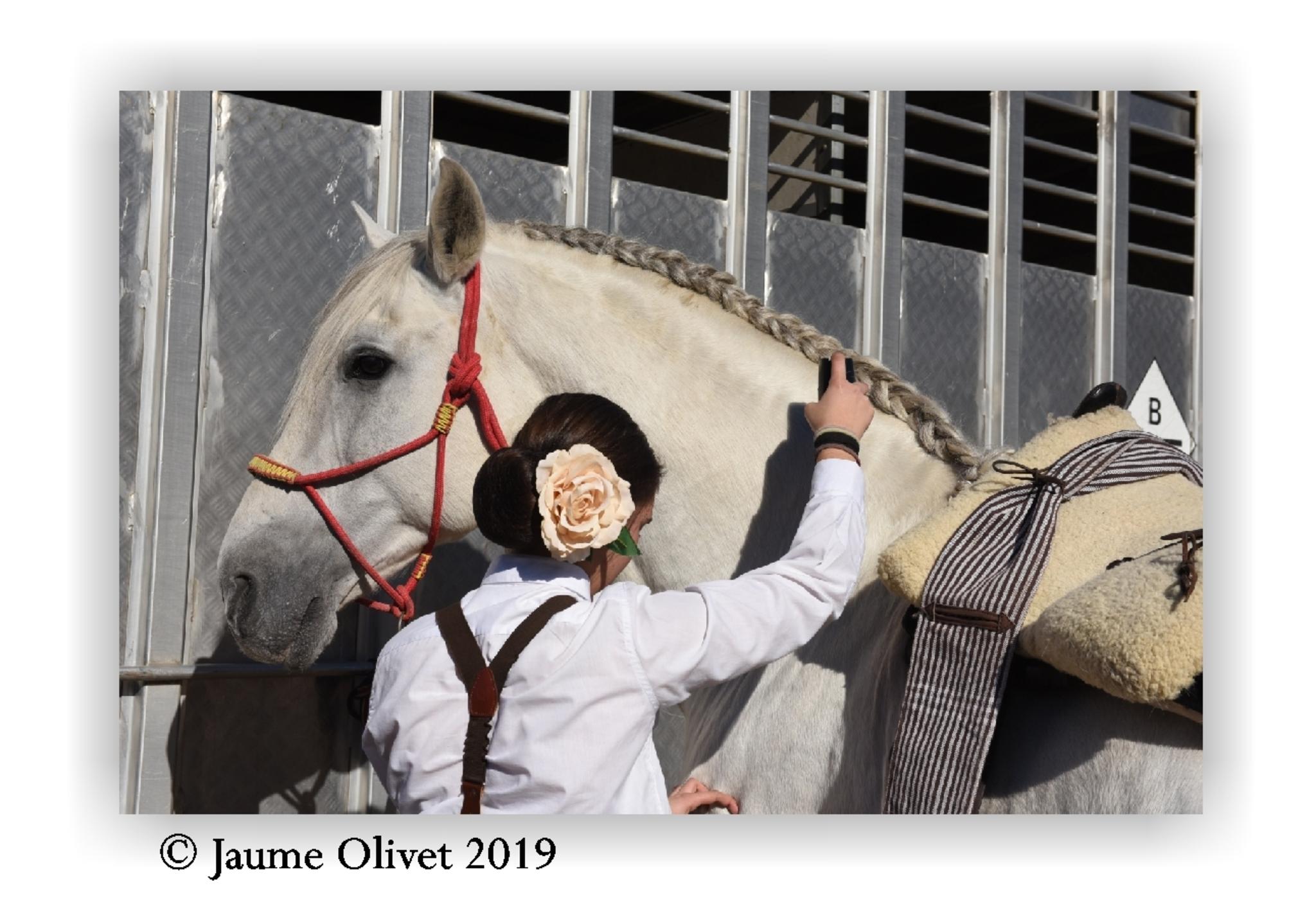  Jaume Olivet 2019
