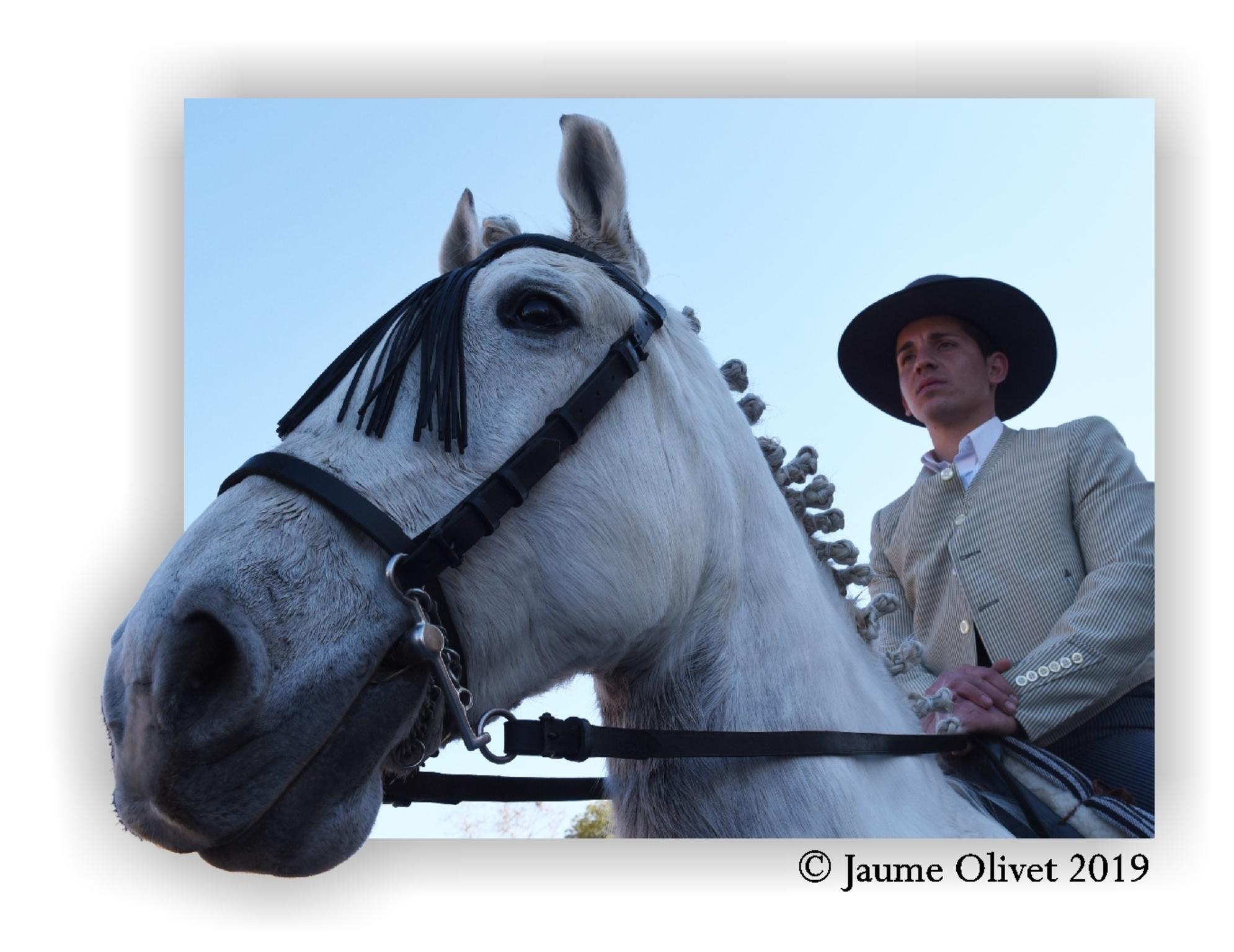  Jaume Olivet 2019