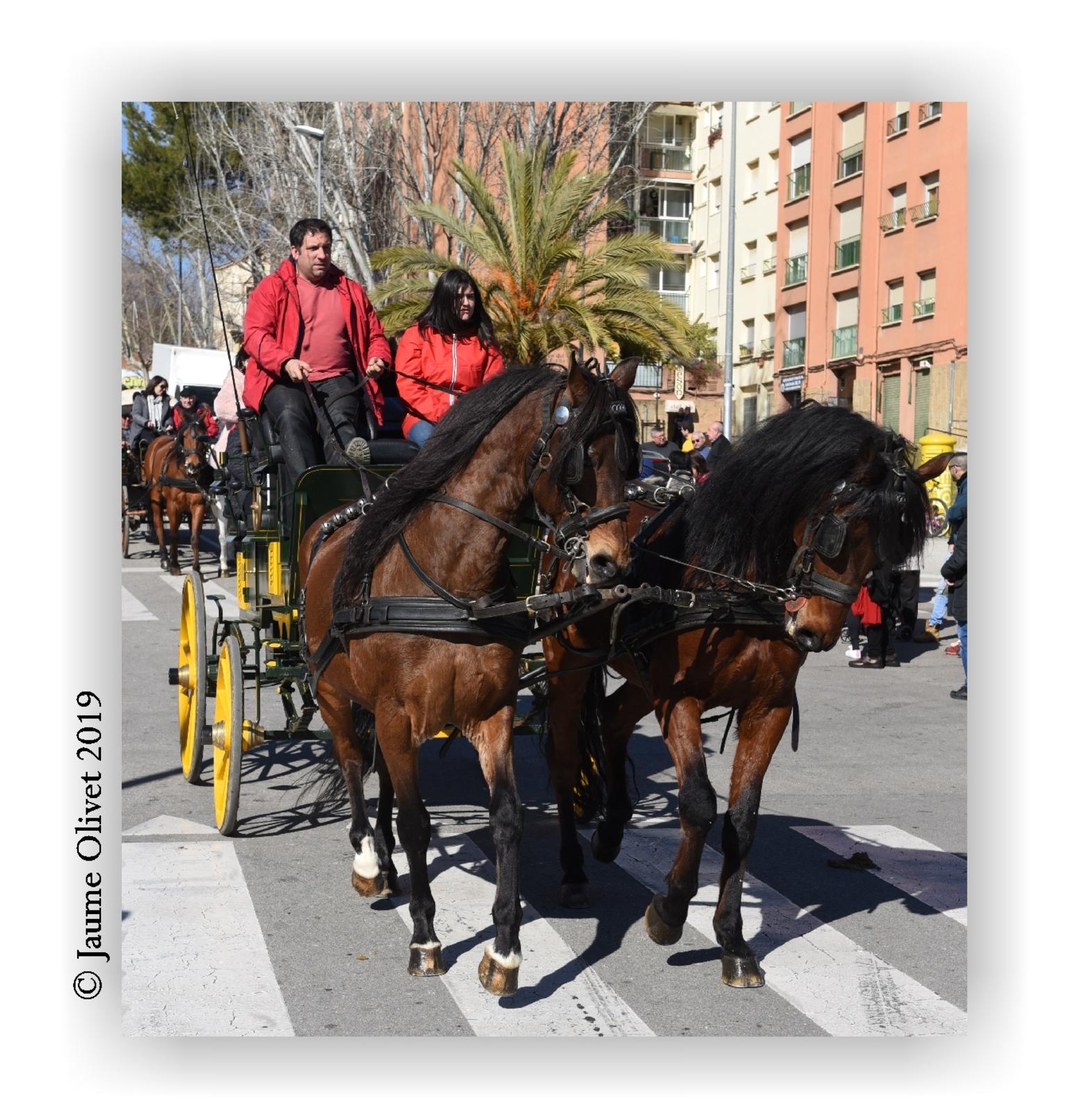  Jaume Olivet 2019