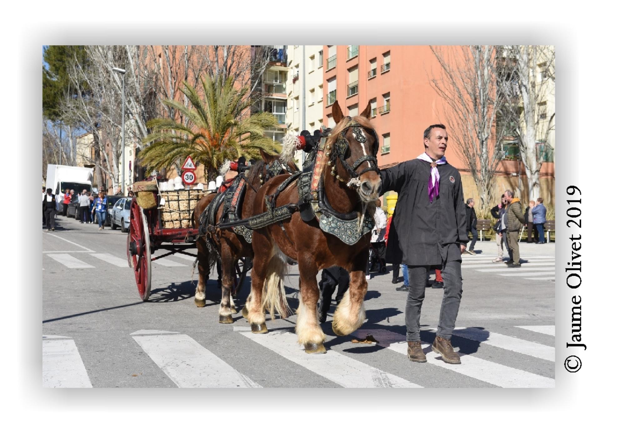  Jaume Olivet 2019