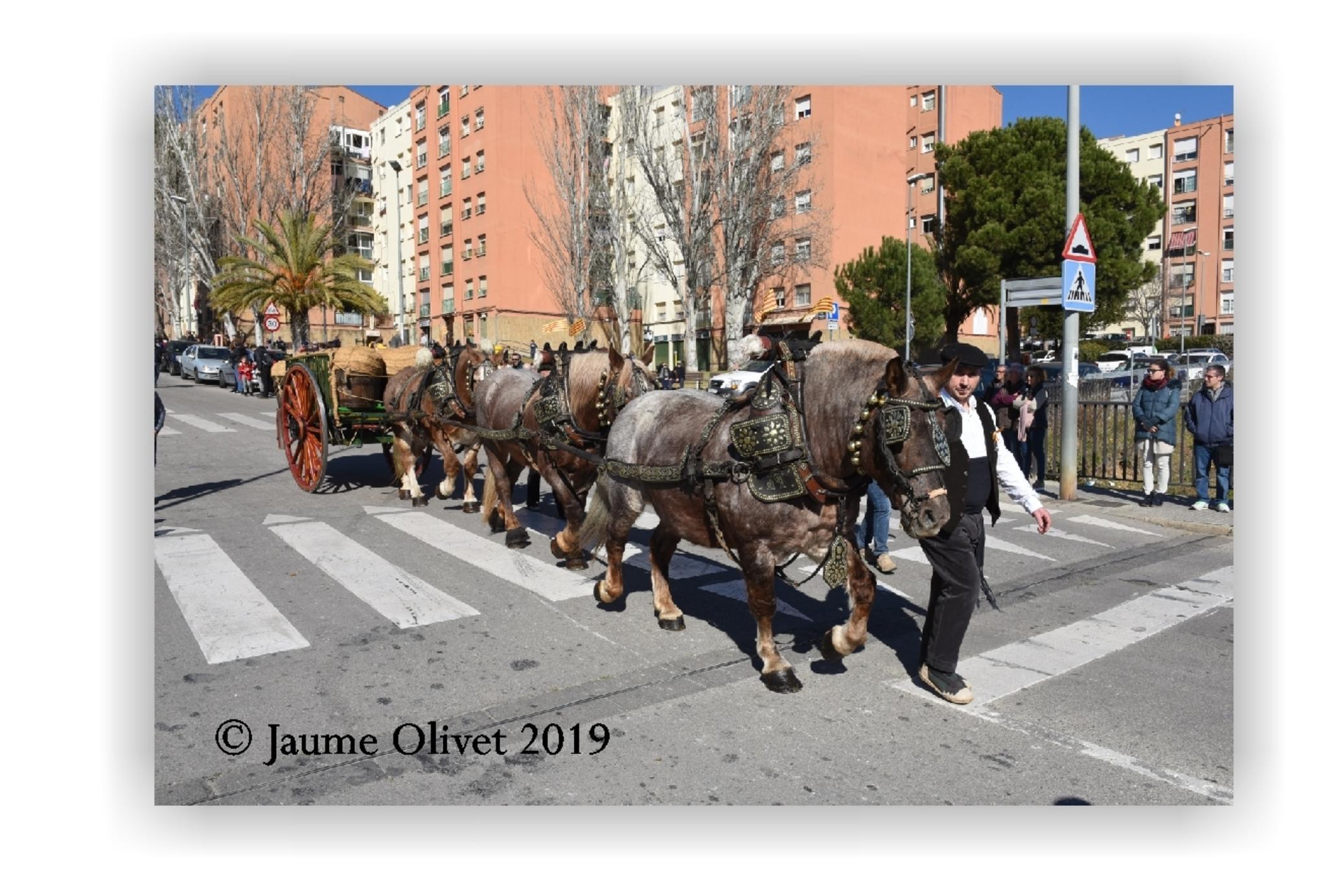  Jaume Olivet 2019