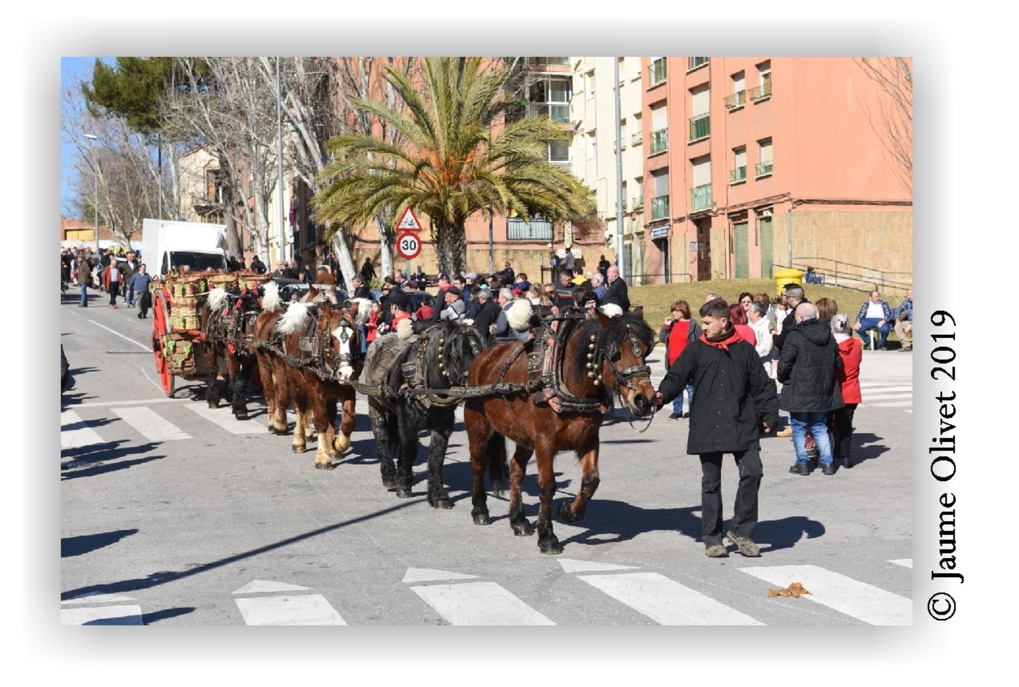  Jaume Olivet 2019