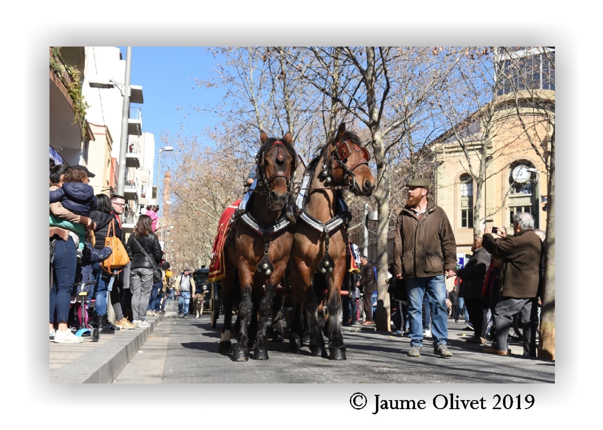  Jaume Olivet 2019