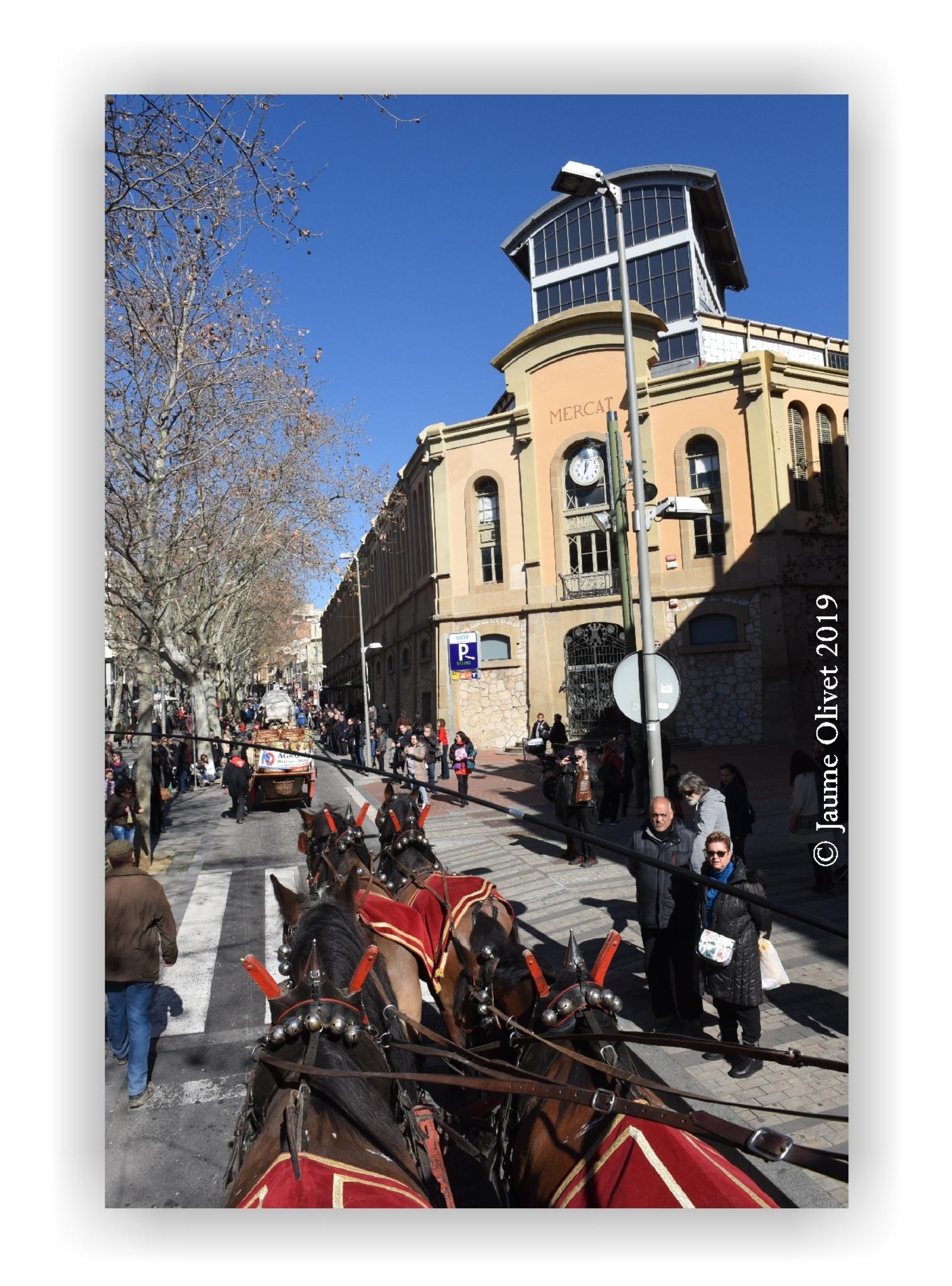  Jaume Olivet 2019