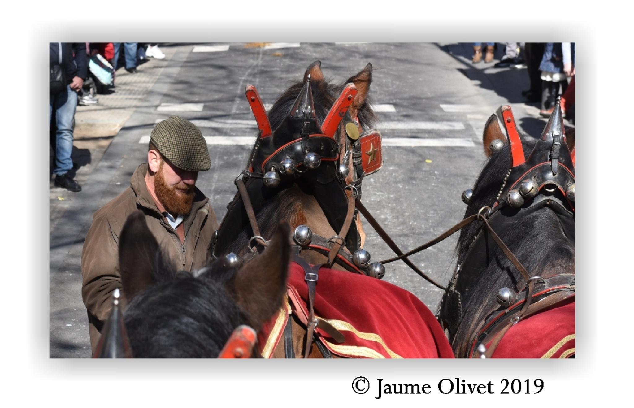  Jaume Olivet 2019
