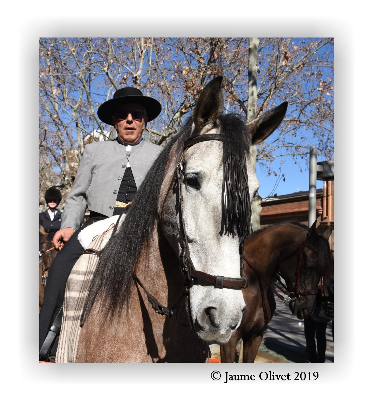  Jaume Olivet 2019