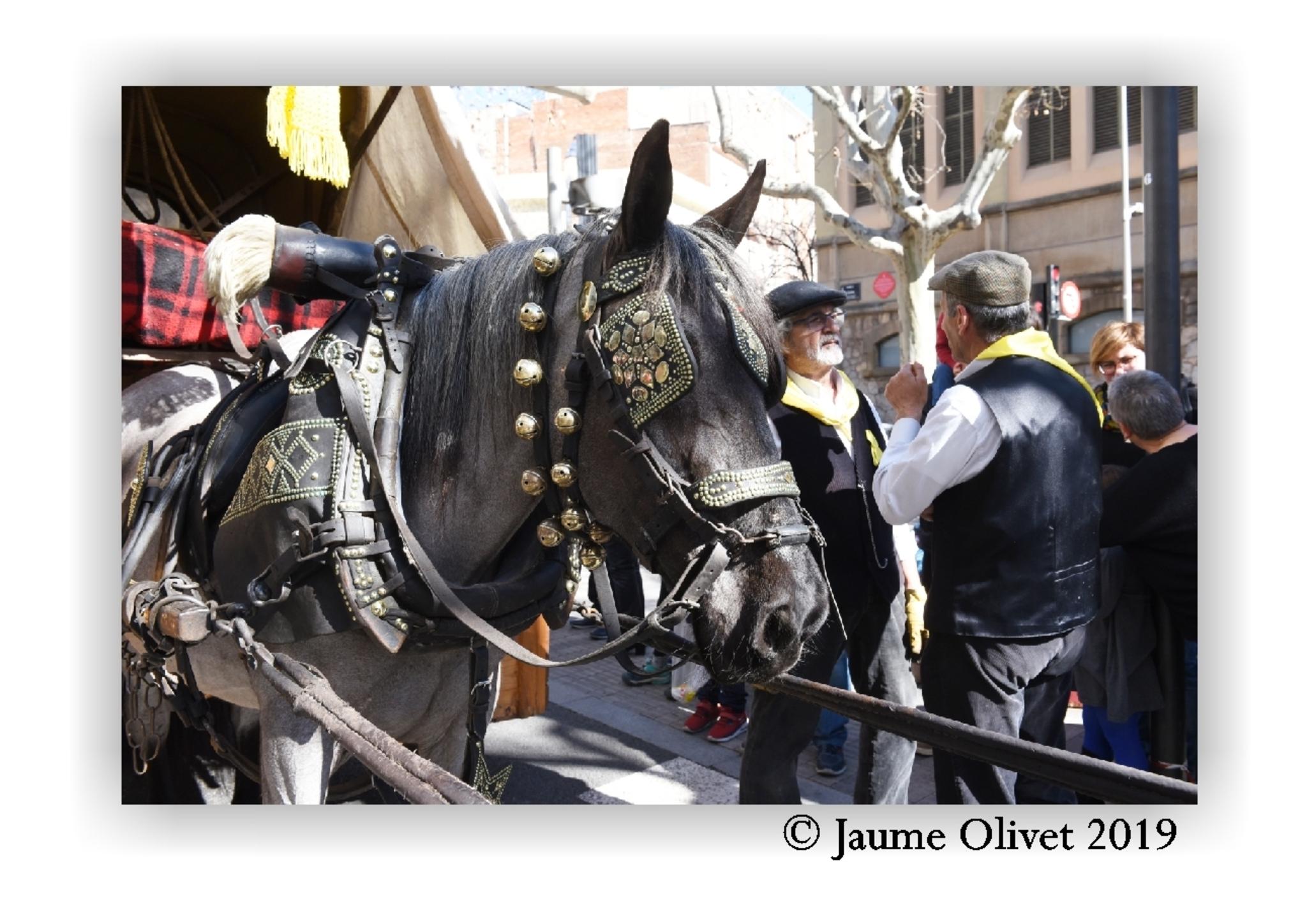  Jaume Olivet 2019