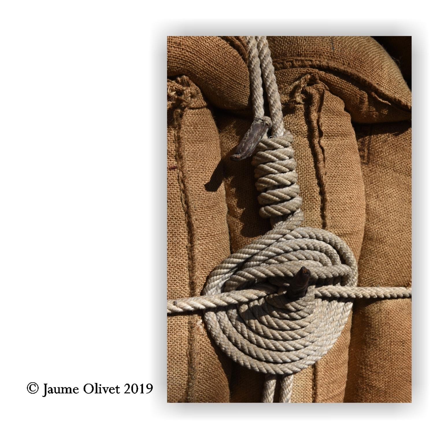  Jaume Olivet 2019