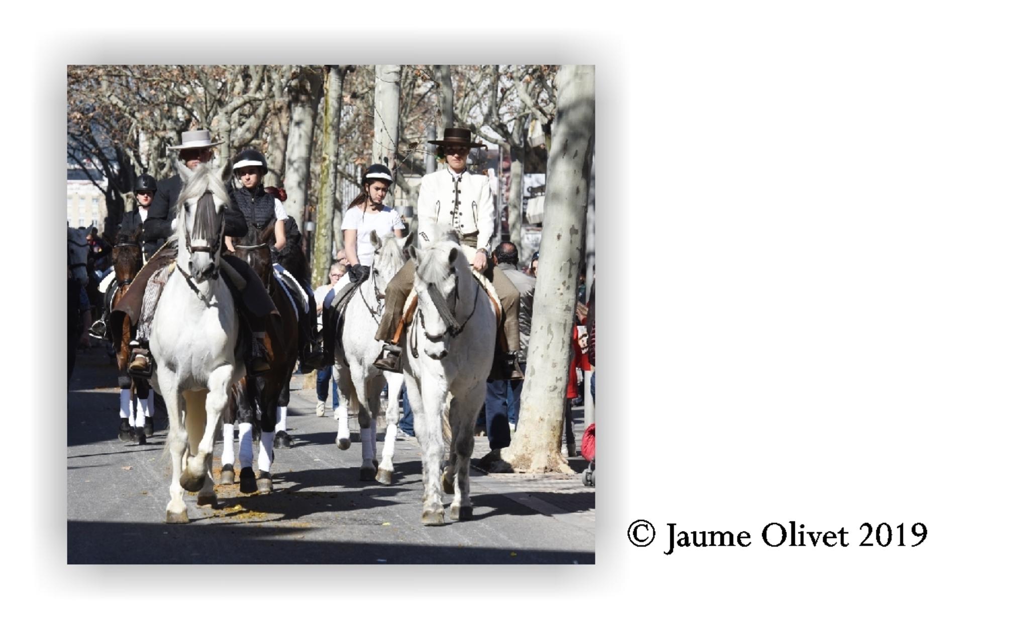  Jaume Olivet 2019