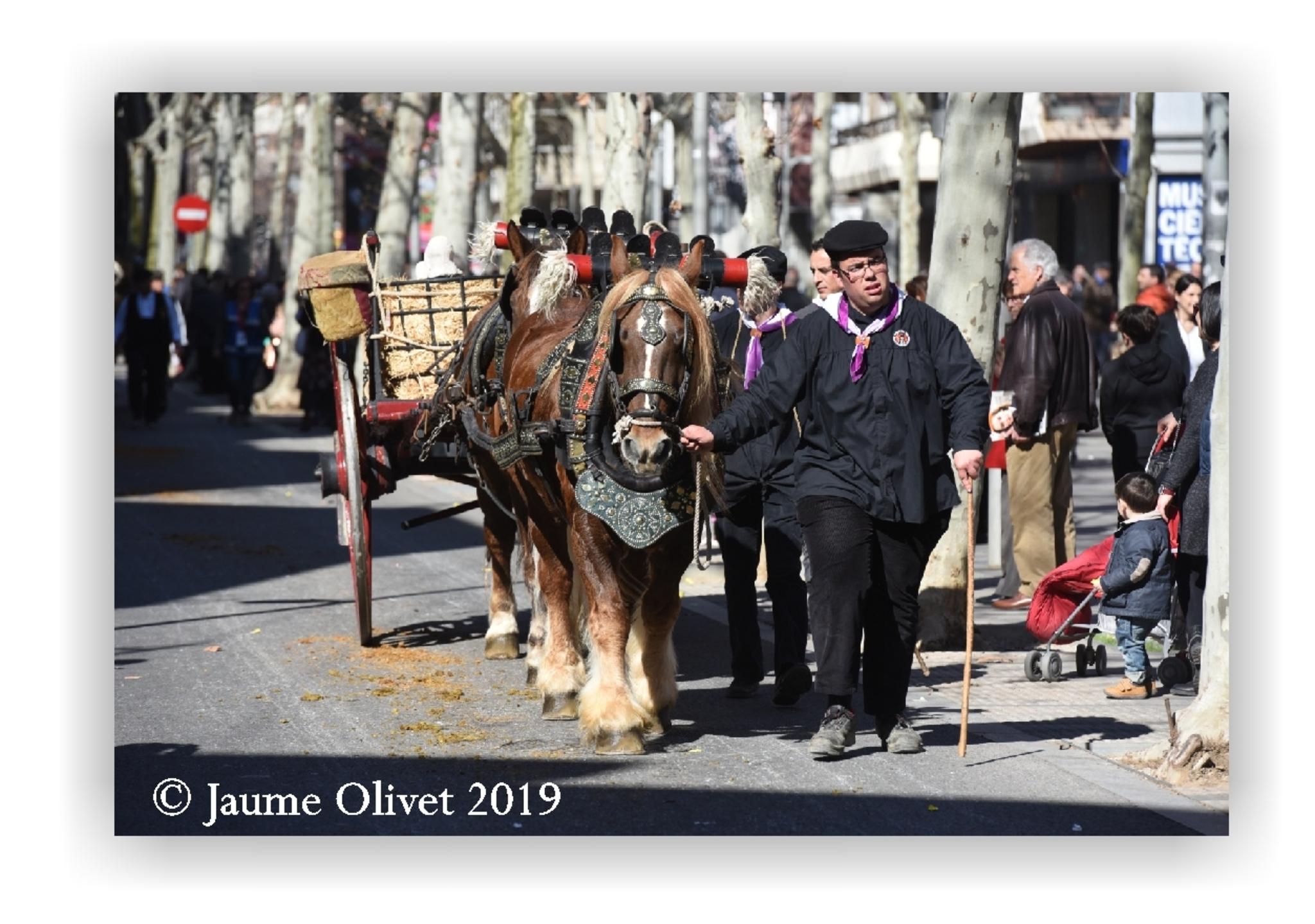  Jaume Olivet 2019