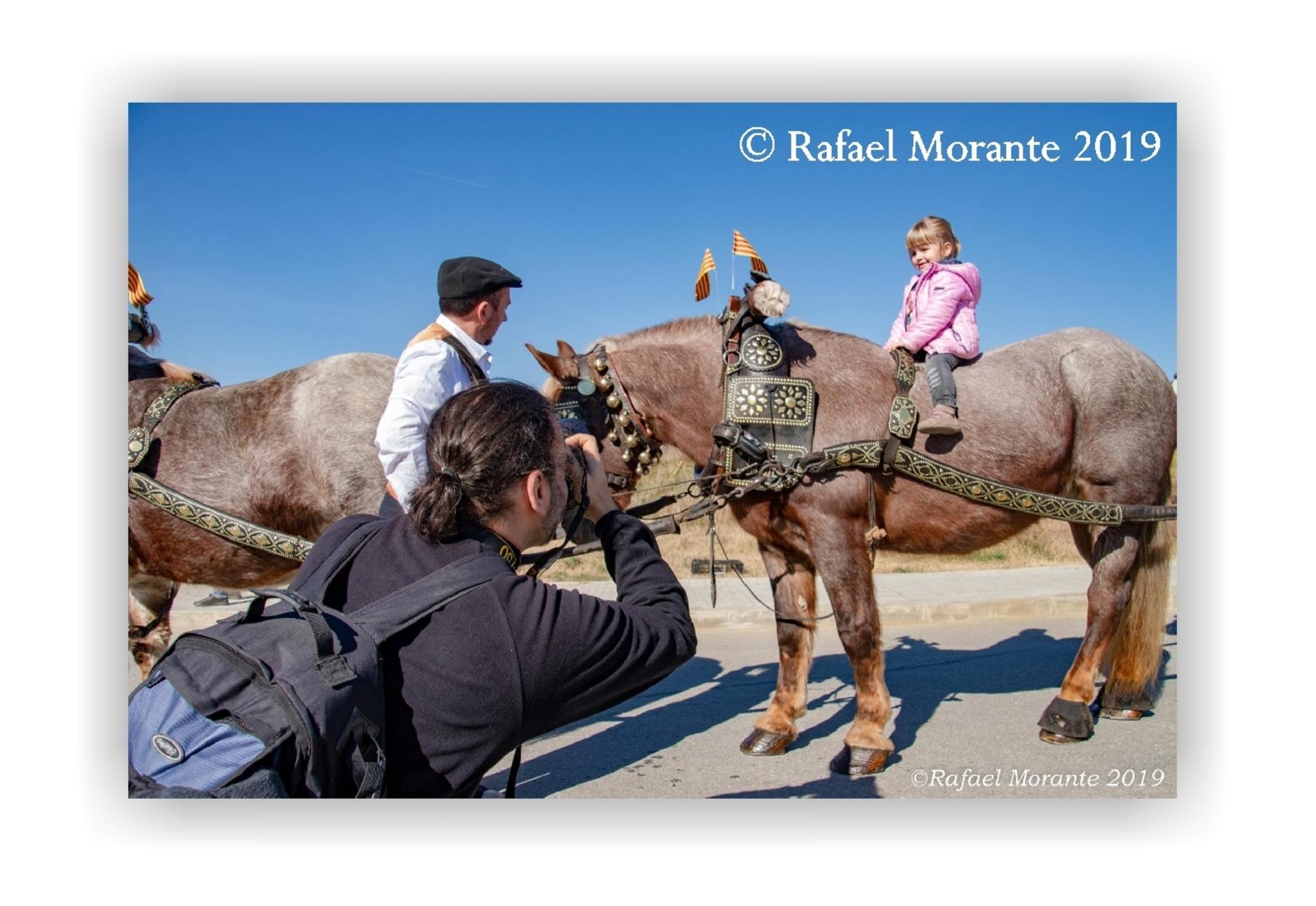  Rafael Morante 2019