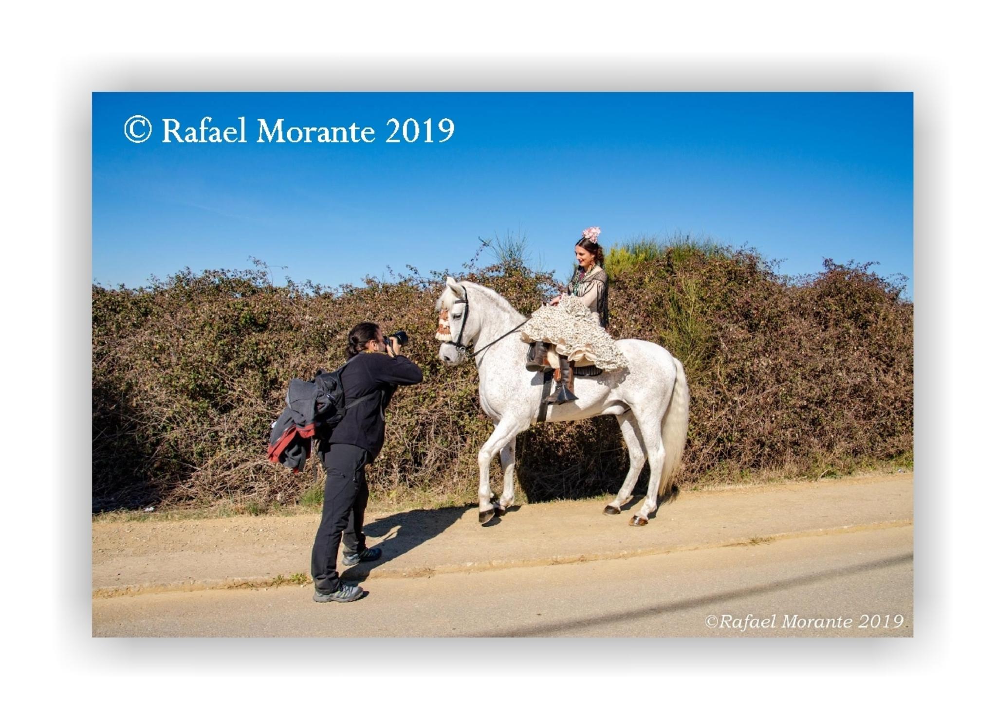  Rafael Morante 2019