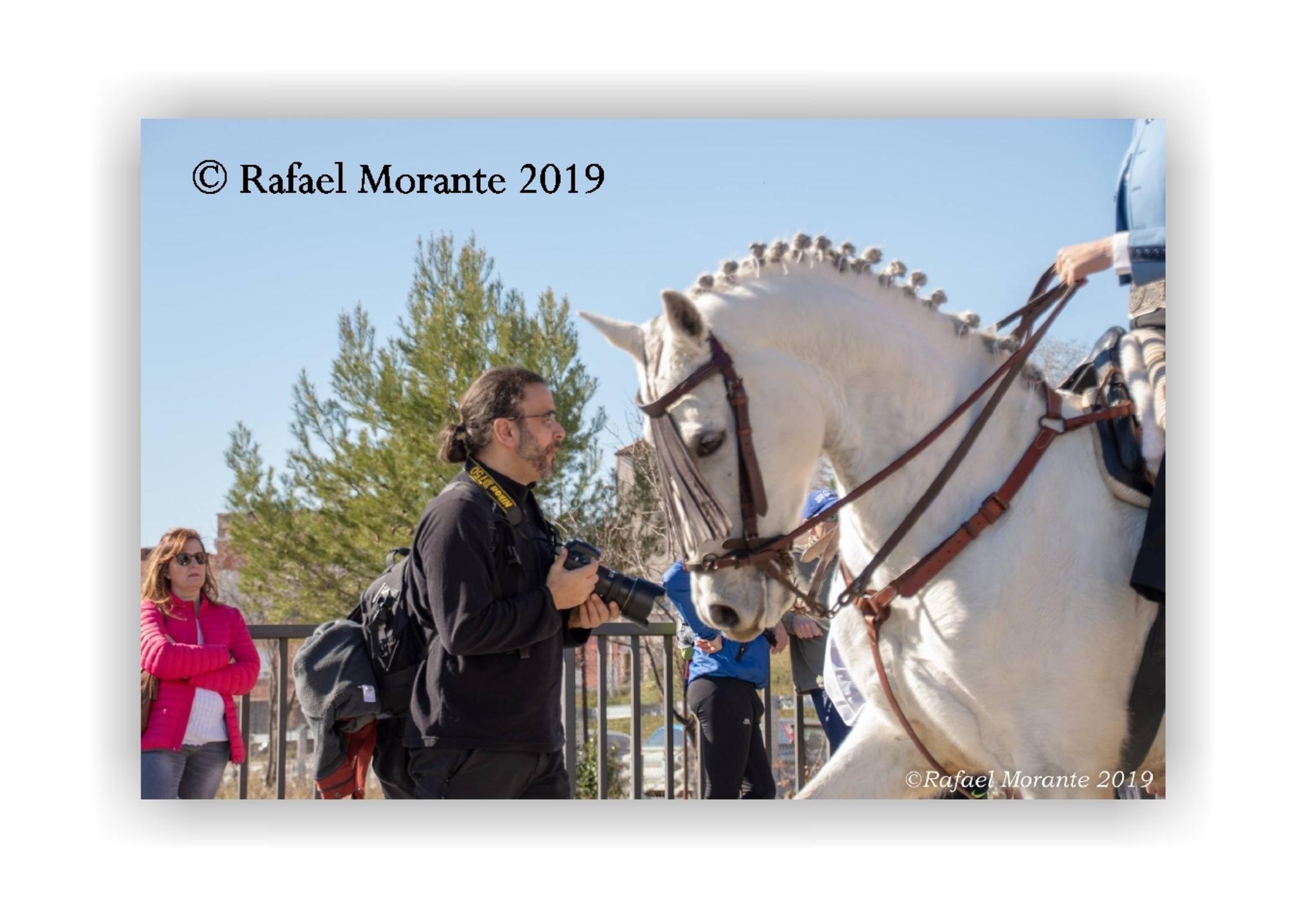  Rafael Morante 2019