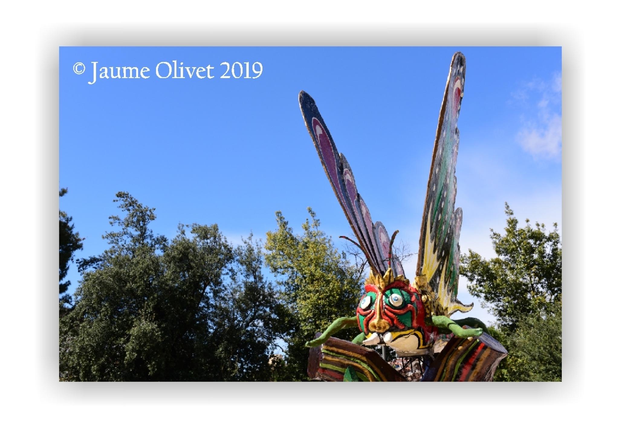  Jaume Olivet 2019