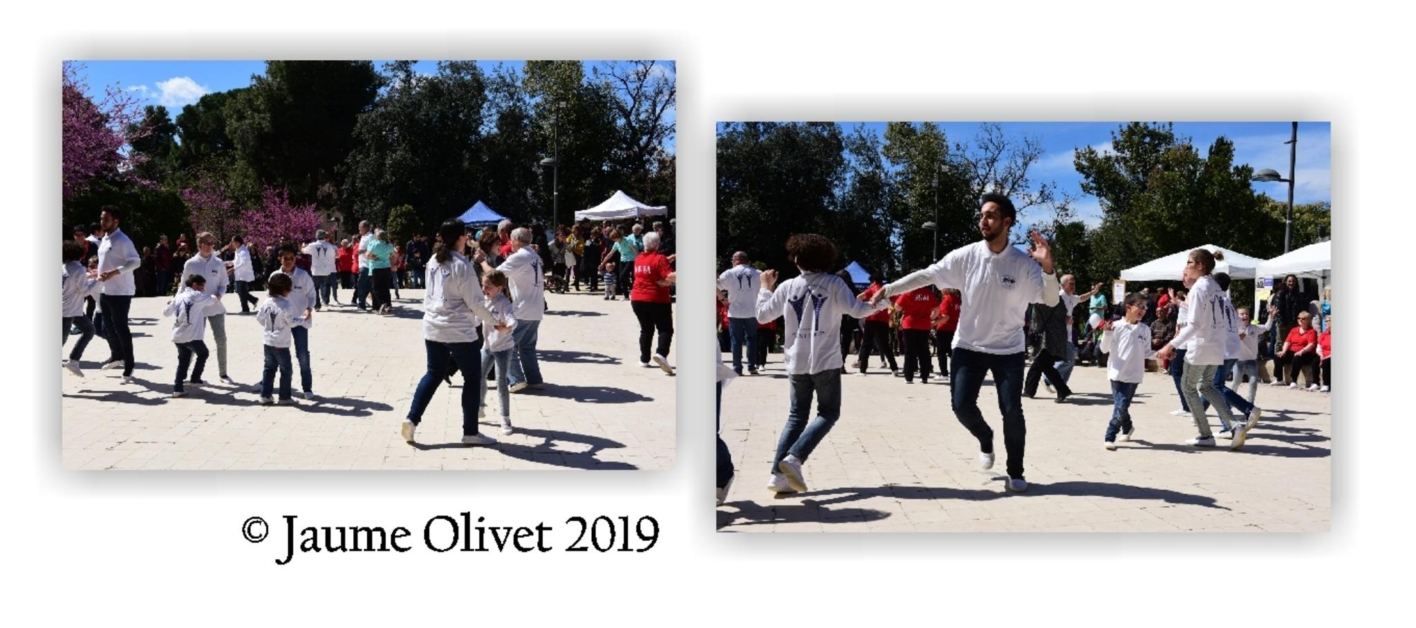  Jaume Olivet 2019