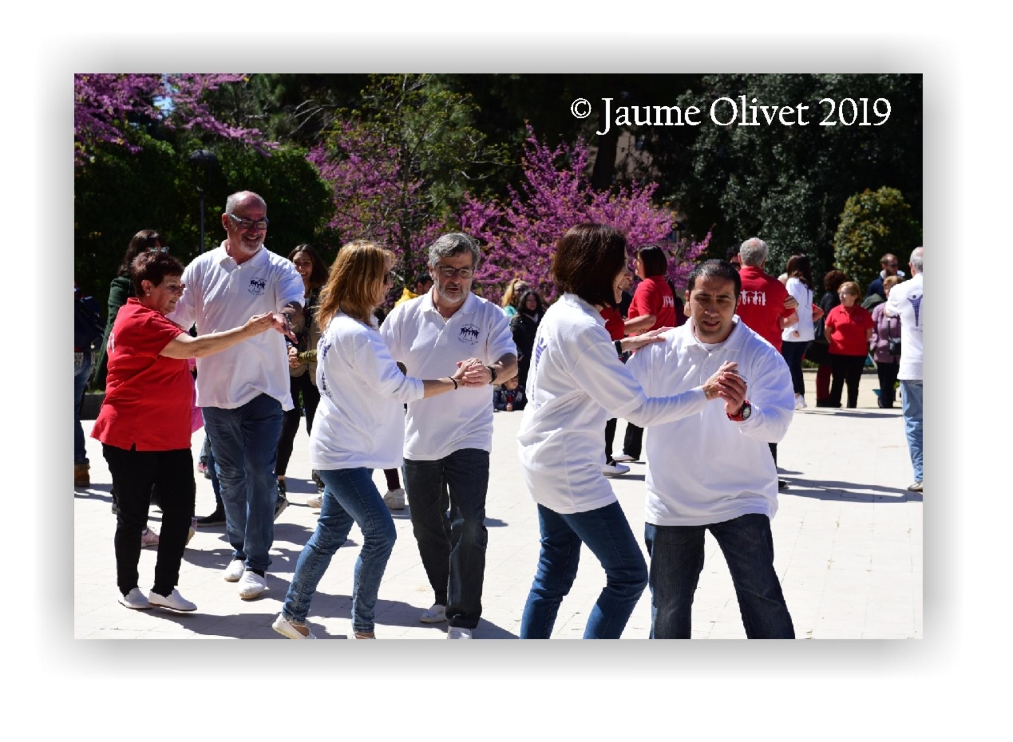  Jaume Olivet 2019