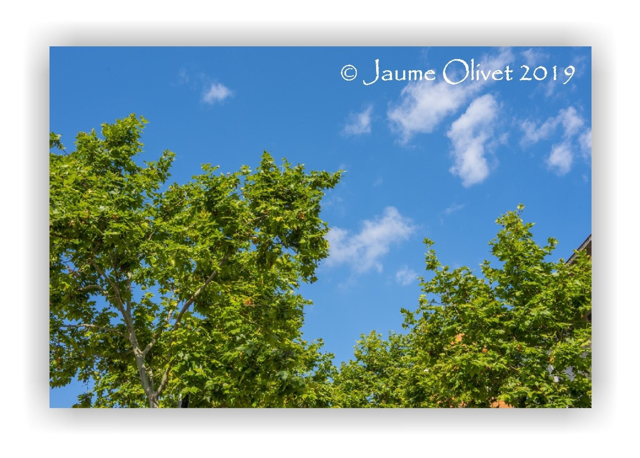 Jaume Olivet 2019