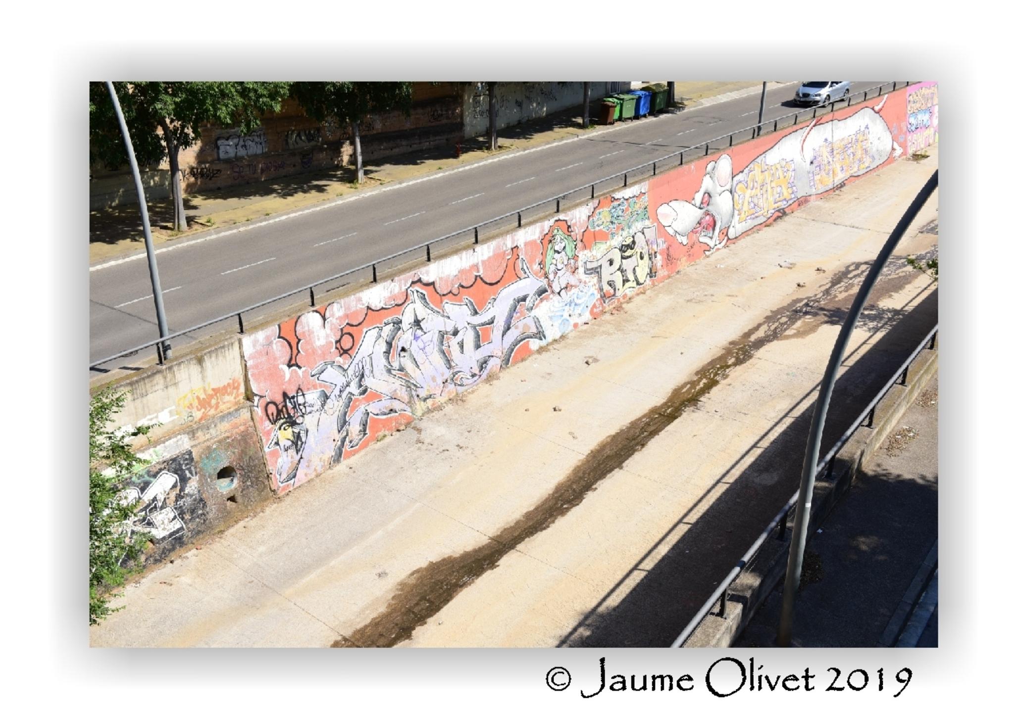  Jaume Olivet 2019