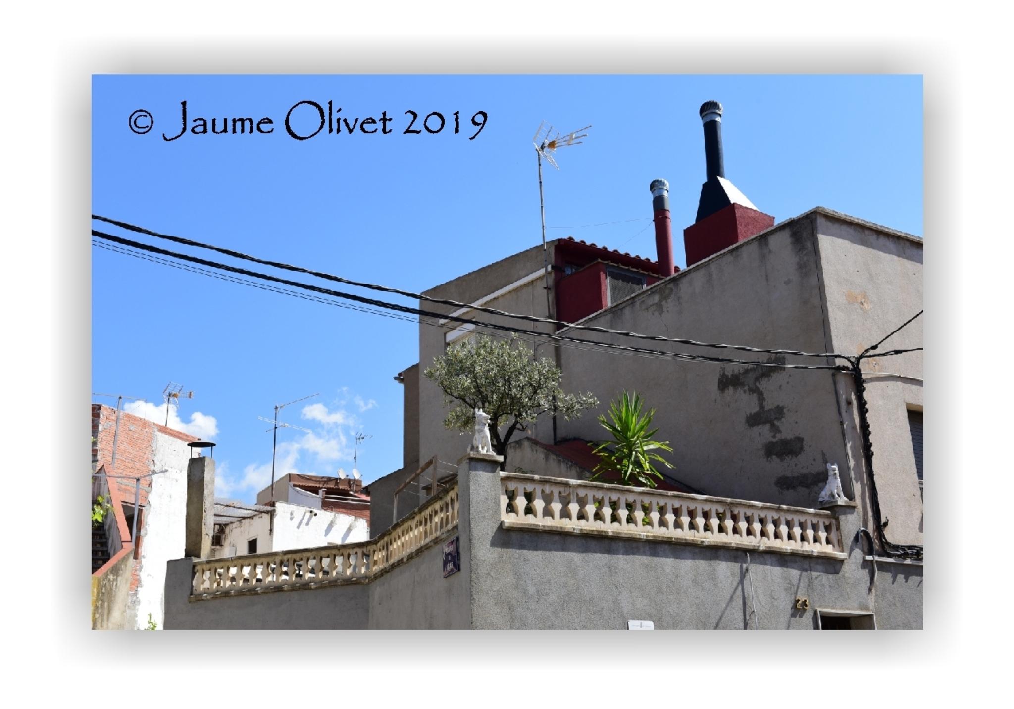  Jaume Olivet 2019